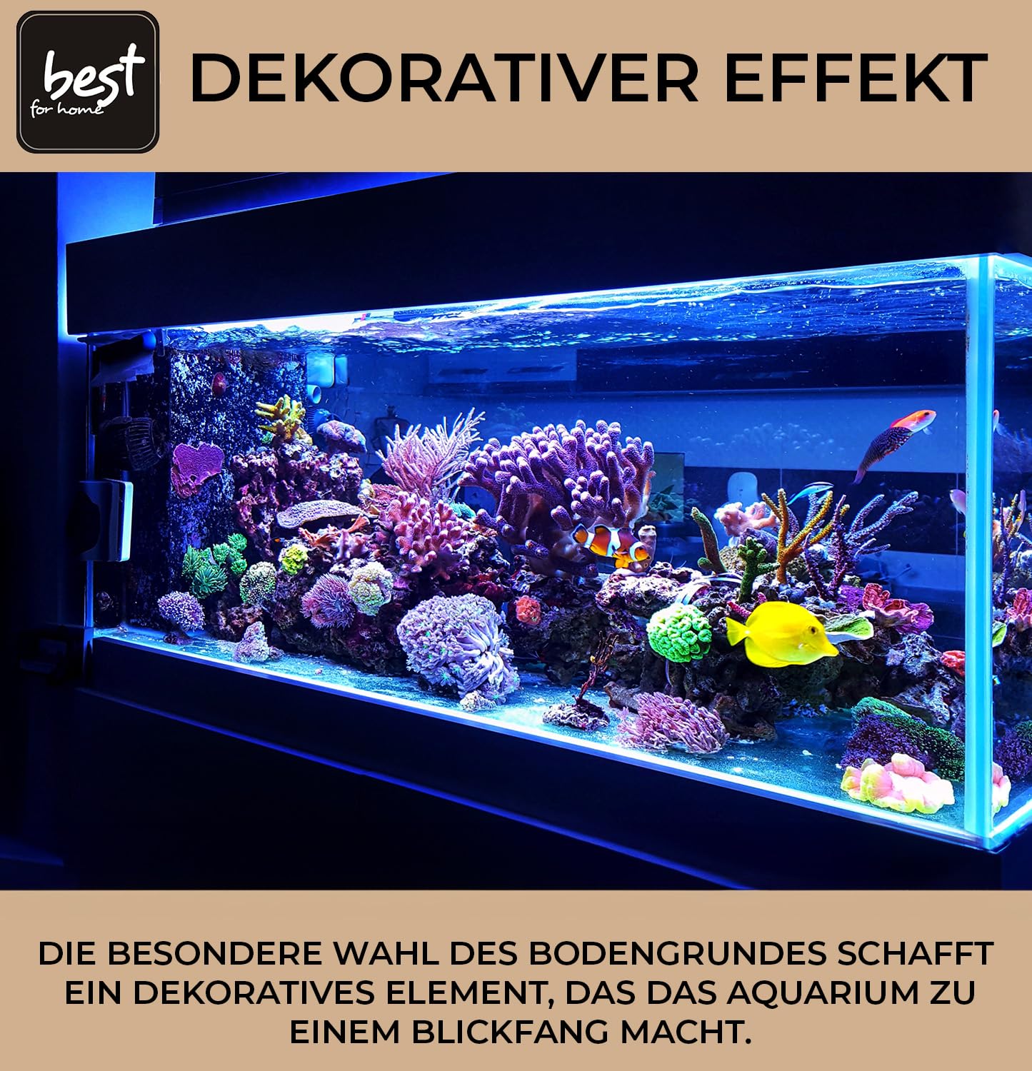 Sable de Quartz pour Aquarium – 25 kg Substrat Premium Fin Blanc – Gravier Naturel Décoratif,Idéal pour Aquariums Eau Douce & Eau Salée – Crée un Environnement Beau, Sain et Harmonieux