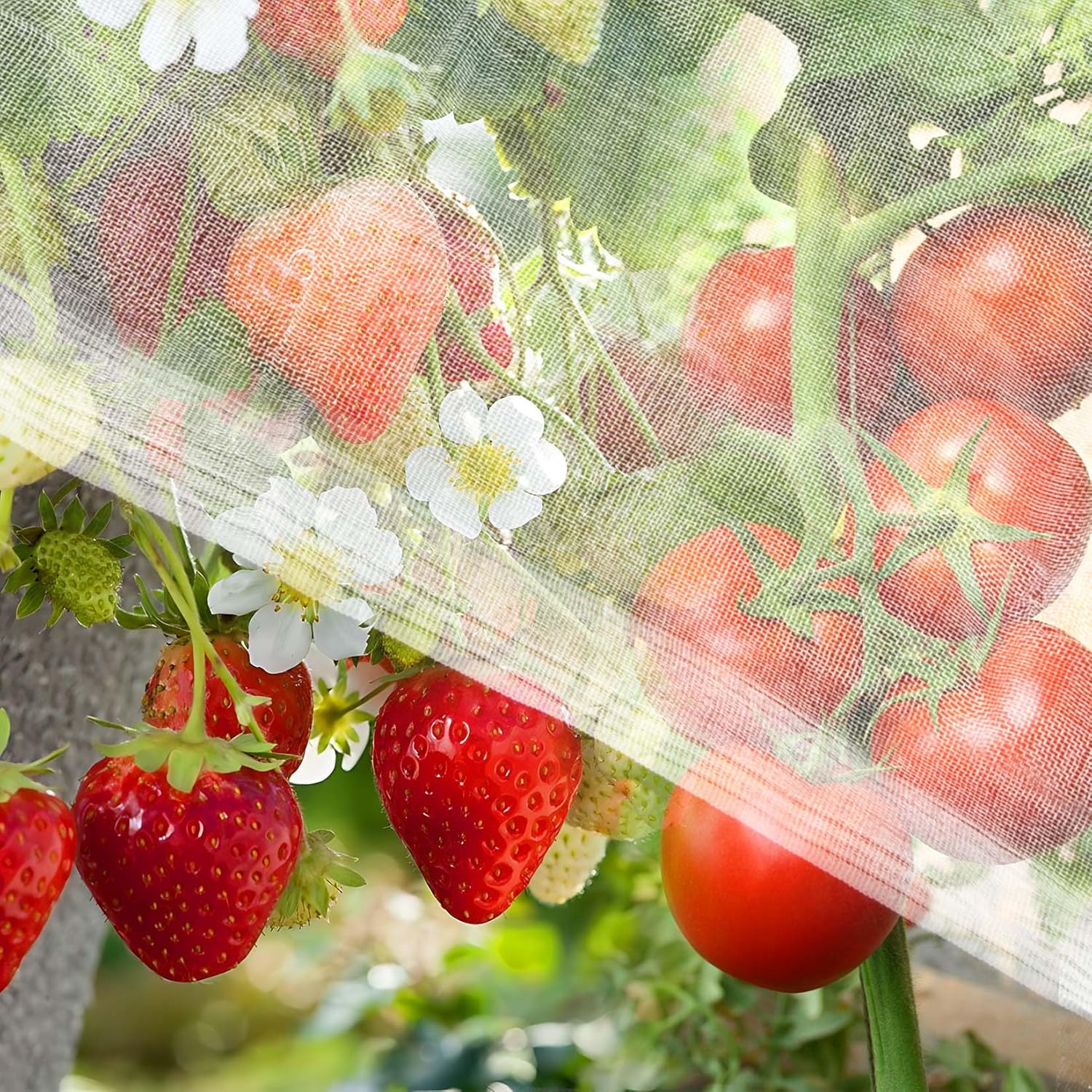 Garden Netting Pest Barrier – 10 x 5 FT Insect Netting for Garden Protection,Mesh Netting Plant Row Covers,Garden Bed Plant Cover,Protecting Tree Plants Vegetable Flowers Fruits
