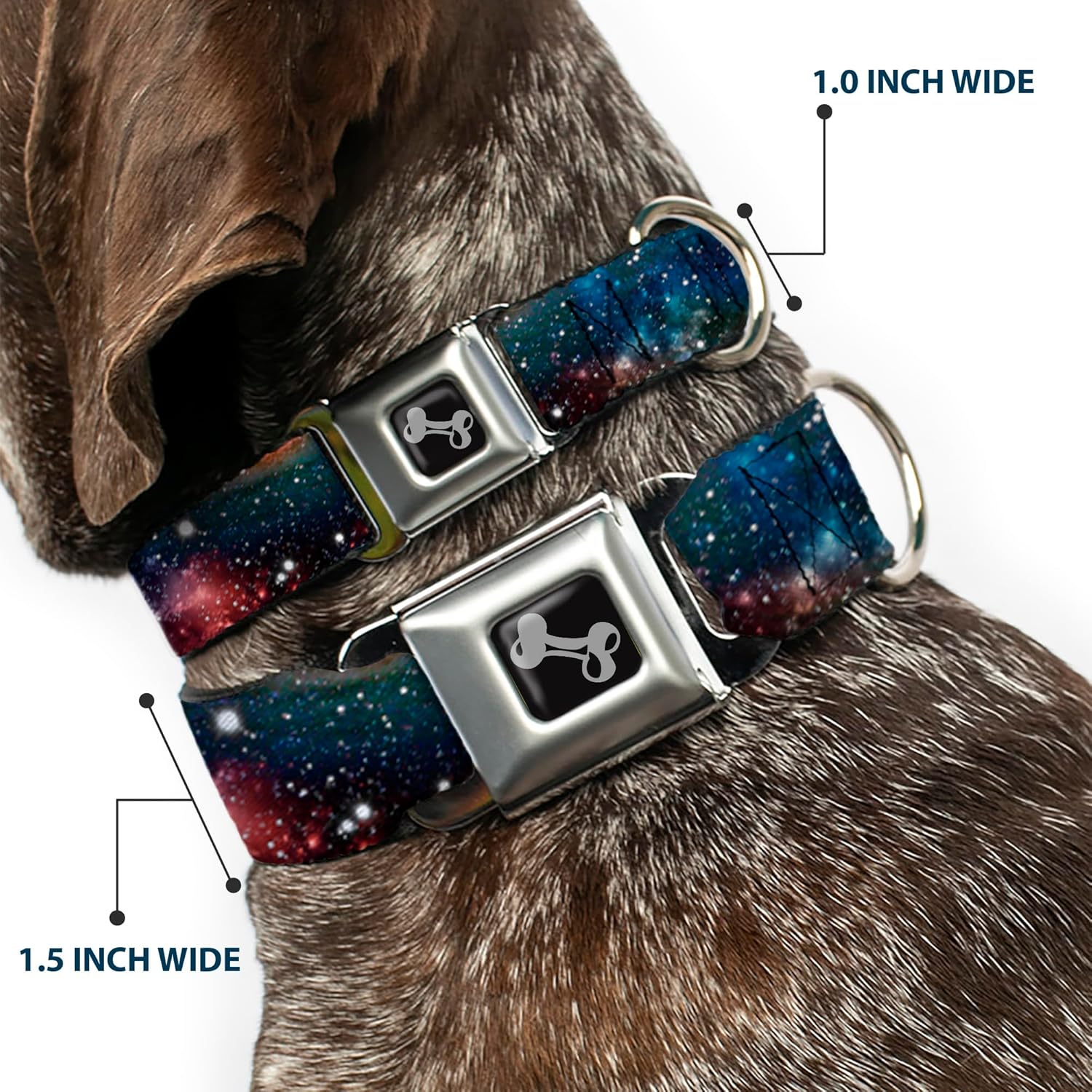 Buckle-Down Seatbelt Buckle Dog Collar - Space Dust Collage - 1" Wide - Fits 11-17" Neck - Medium
