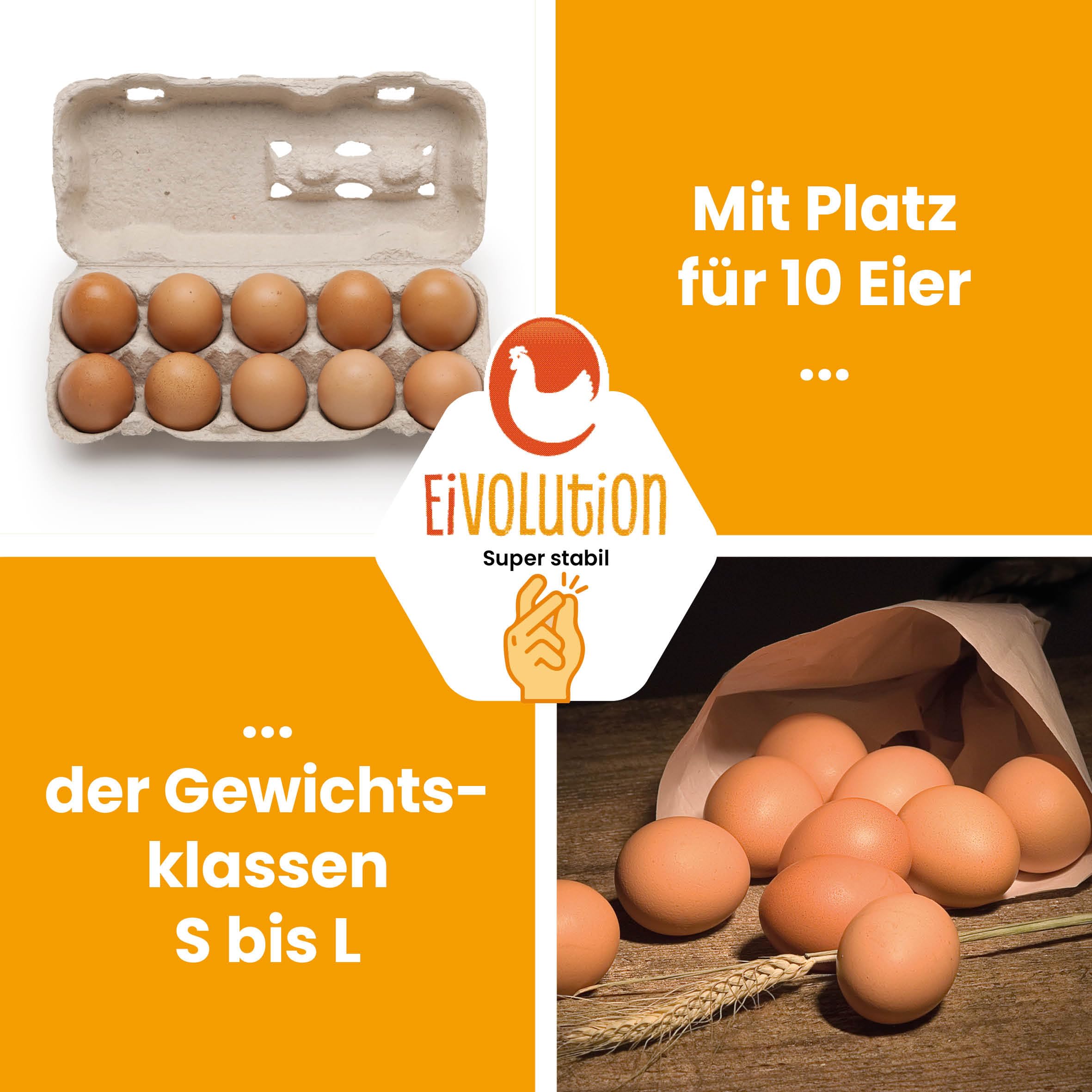TopView 10er Eierkarton | 340 Stück | Eierschachtel mit Sichtfenster für Hühnereier in den Größen S, M & L | Grau