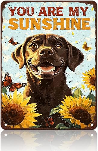 Miniatura 13 de Póster de metal retro con texto en inglés «You Are My Sunshine» de metal con texto en inglés «You Are My Sunshine» («You Are My Sunshine») Pug Eres