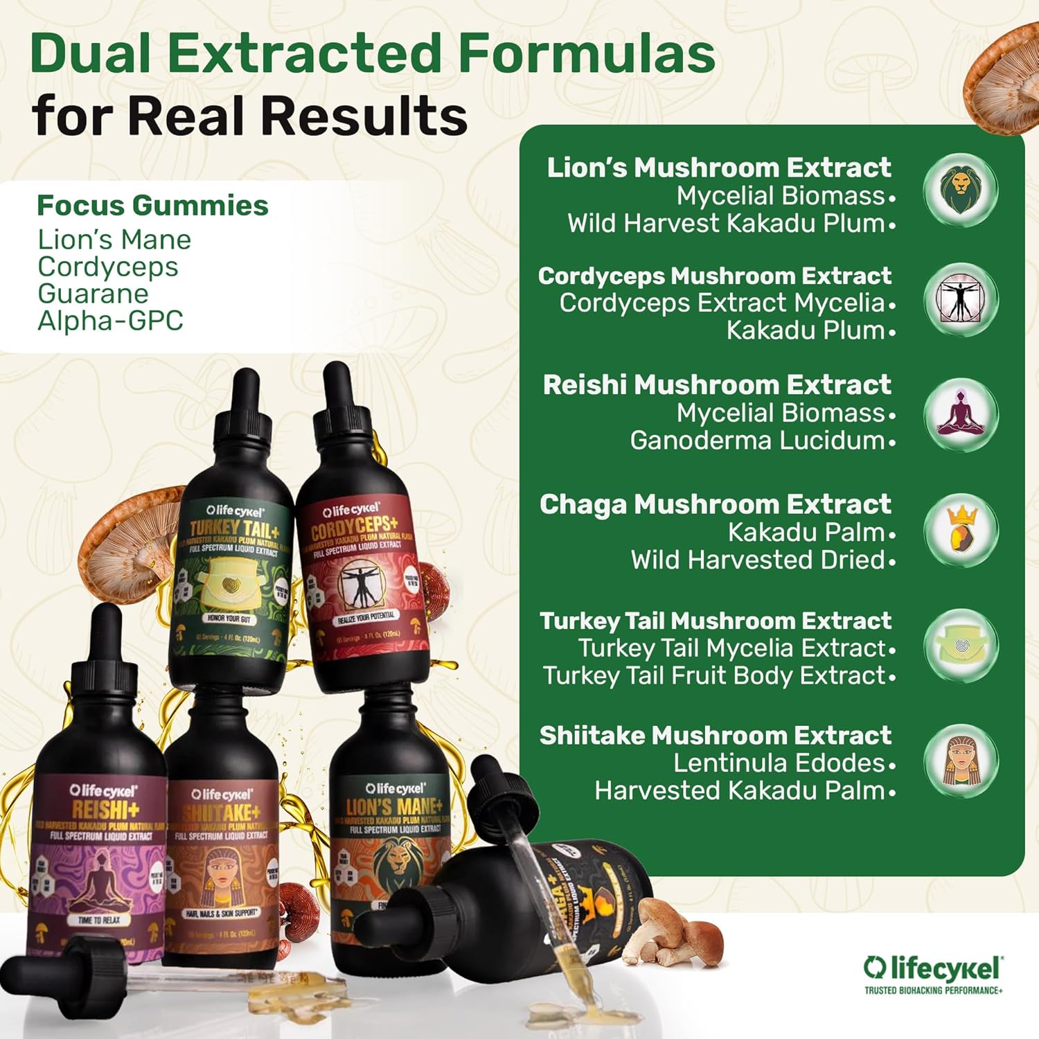 Life Cykel Premium Mushroom Extract Liquid Bundle – Lion’s Mane, Cordyceps, Reishi, Chaga, Turkey Tail & Shiitake (1oz Each) with Included Energy Gummies (10-Count), for Vitality & Mental Clarity - Image 2