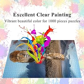 HUADADA Jigsaw Puzzles for Adults 1000 Pieces, Magic Reflection Interlock Perfectly Letter on Back No Dust, Home Decor Birthday Party Gift Toy for Men Women Olds Seniors (27.5x19.6), 1:1 Poster