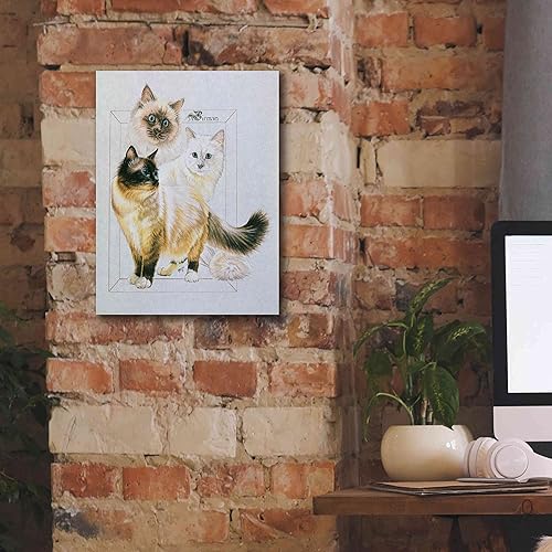 Vista 13 de Epic Graffiti 'Birman' by Barbara Keith, Canvas Wall Art, 40"x54