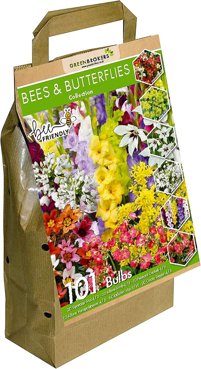 GreenBrokers Bee and Butterfly Summer Bulb Collection (101 Bulbs) Big