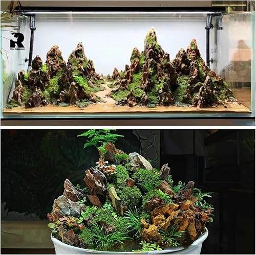 Miniatura 4 de Rocas naturales para acuario de 2 a 4 pulgadas, roca de dragón para acuarios, modelo de paisajismo, decoración de tanques, recintos de anfibios,
