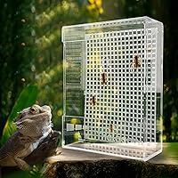 thalagon Bearded Dragon Feeder Box - Transparent Acrylic Wall-Mounted Insect Feeder with Suction Cups for Lizards, Chameleons, Frogs