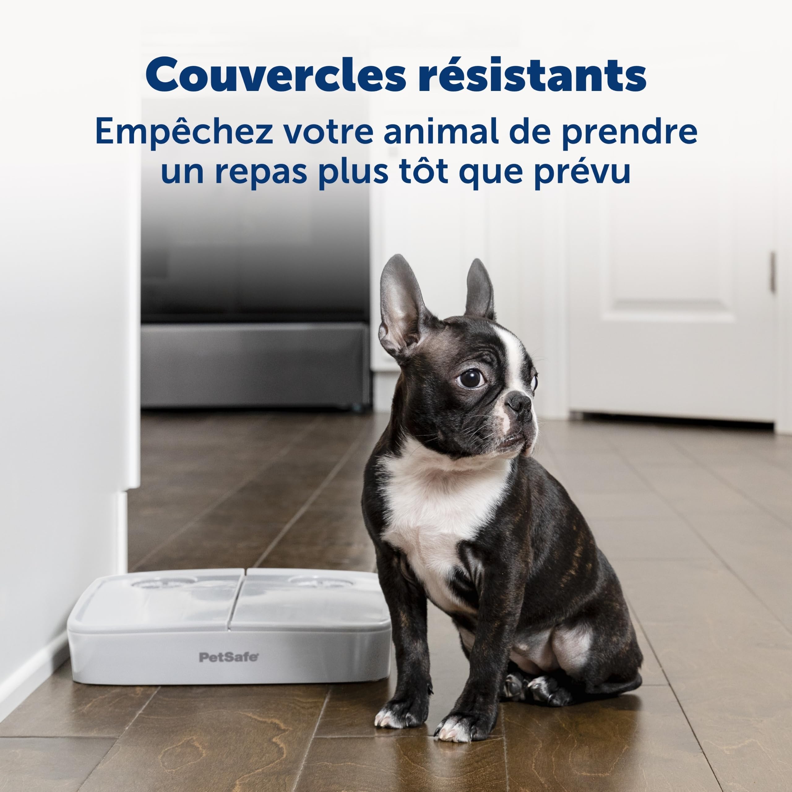 PetSafe ‎PFD19-17005 Mangeoire Automatique à 2 Repas, minuteries intégrées, Bol de Nourriture sans BPA, adapté aux Aliments secs