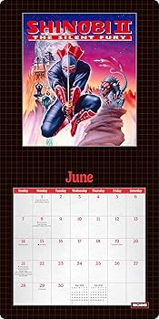 Amazon.com: Shinobi 2026 Wall Calendar: 0663899978722: Sega