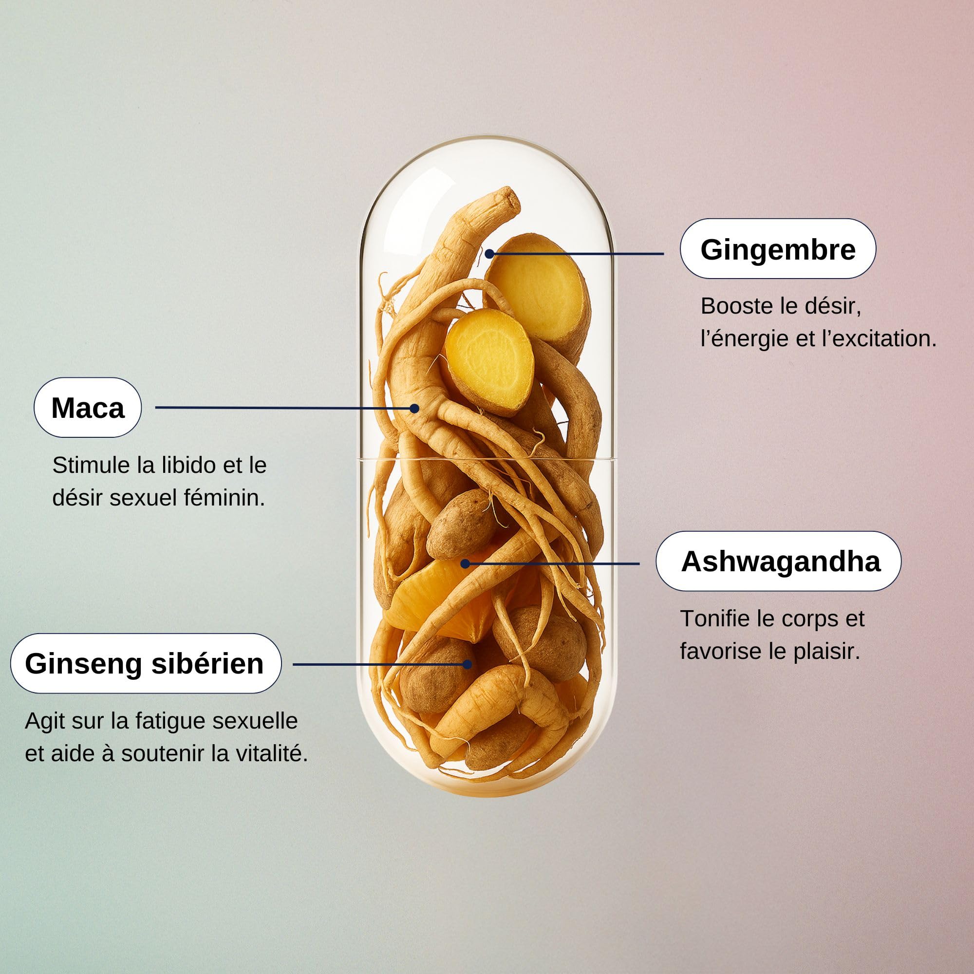 Laborantin Libido Boost Femme Aphrodisiaque Naturel 60 Gélules Vegan | Maca, Ashwagandha, Ginseng, Usage Cure ou Ponctuel, Fabriqué en France