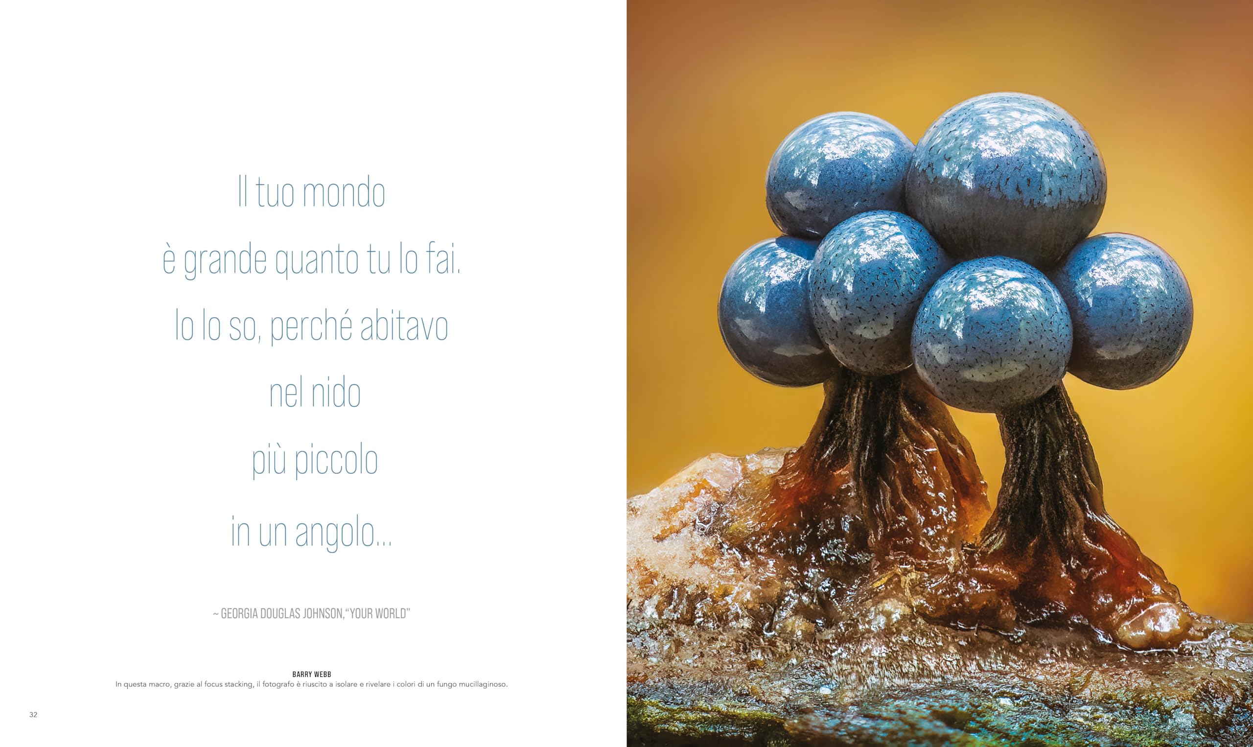 Il mondo dall'alto. Ediz. a colori