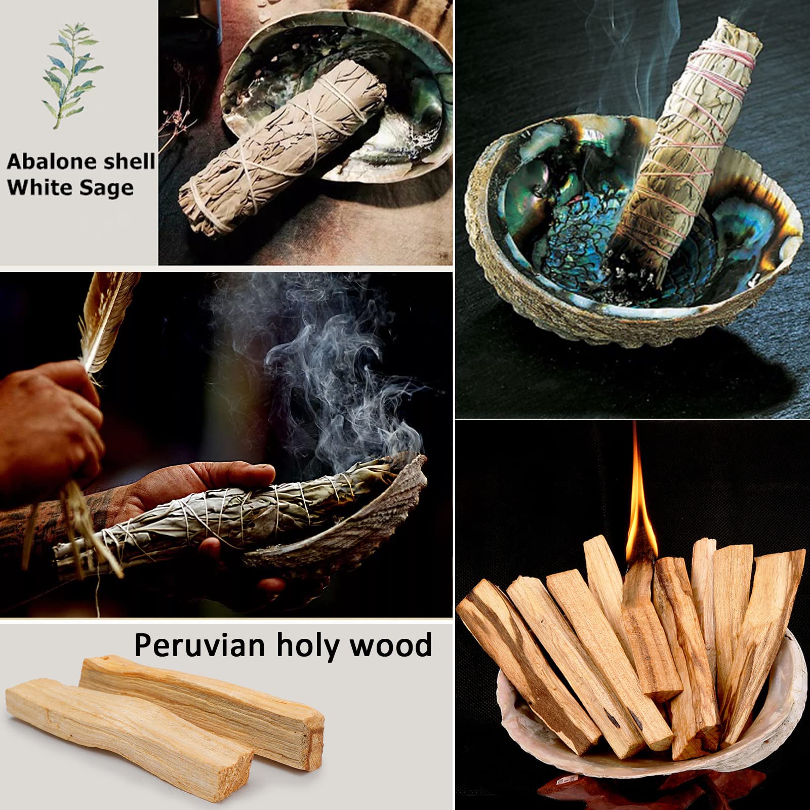 Biała szałwia 3 wiązki 10,2 cm i 2 palo Santo10 cm długa muszla Abalone 11 cm, zestaw do wędzenia pióra, zestaw do wędzenia, eliminuje negatywną energię, wspomaga rytuały medytacyjne