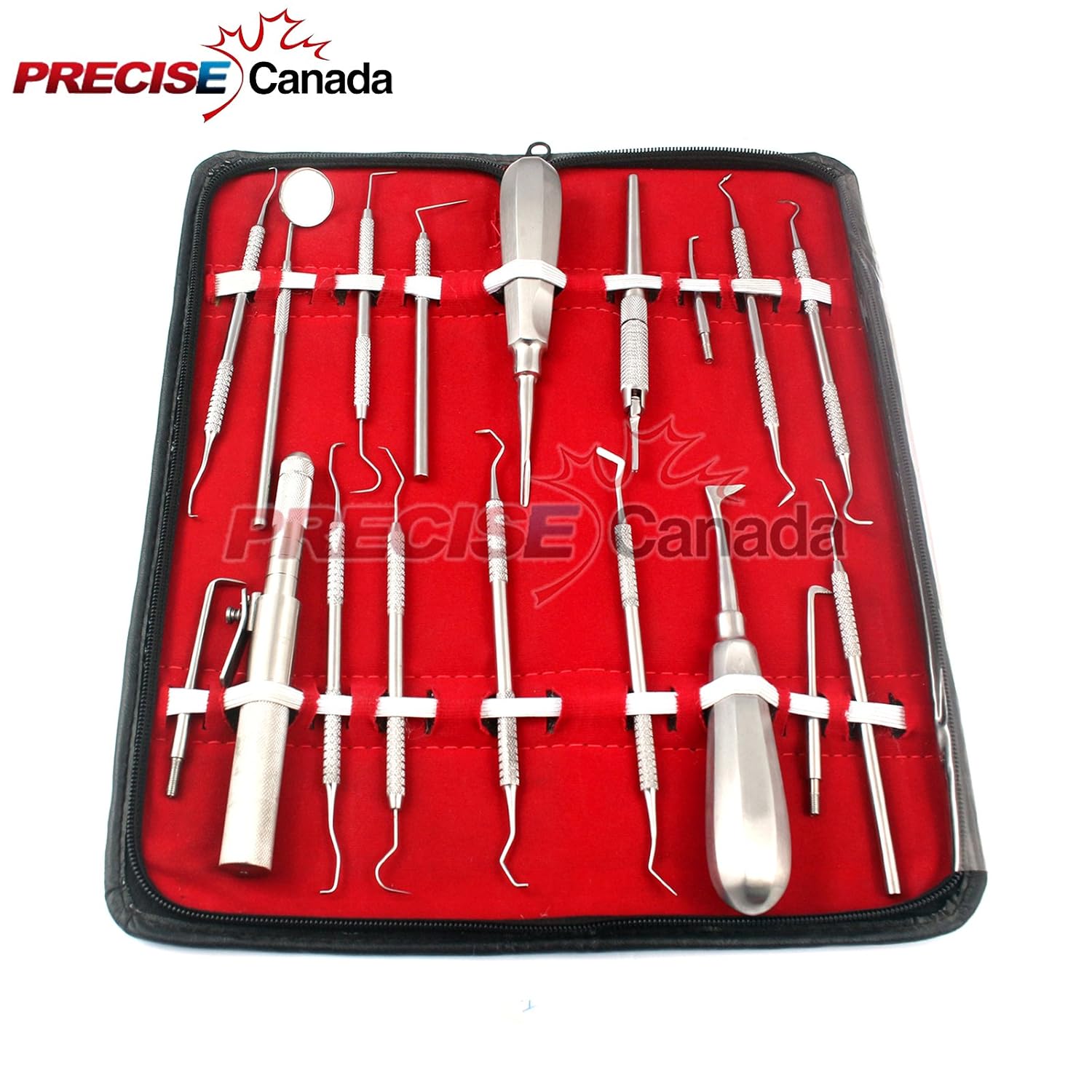 PRECISE CANDA ASSORTED SET OF 18 PCS DENTAL INSTRUMENTS