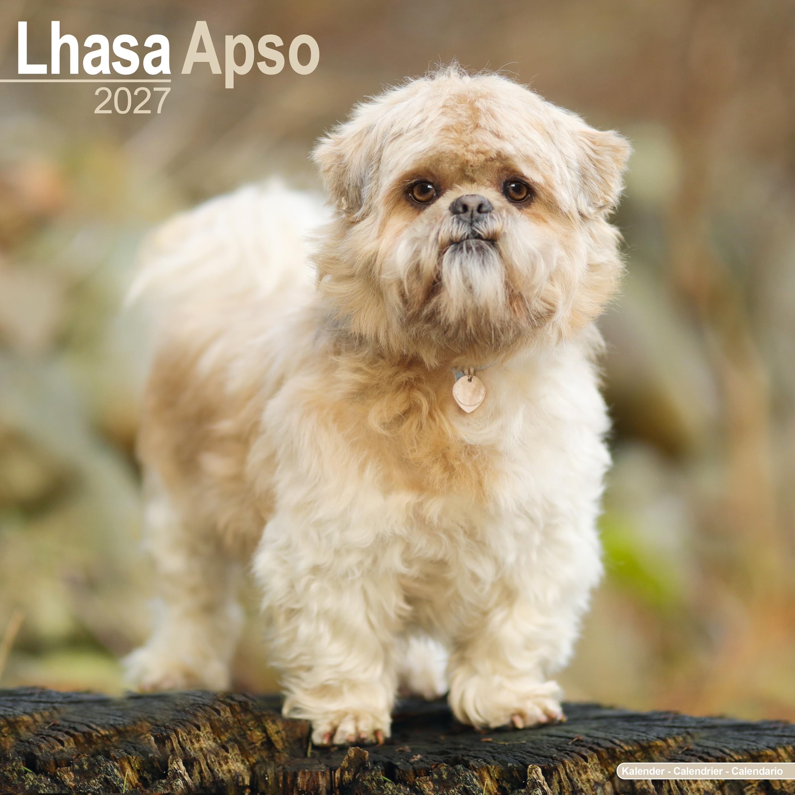 Lhasa Apso 2027 Calendar | Square Wall Calendar | Dog Breed Gift | Plastic Free Packaging | by Avonside Publishing