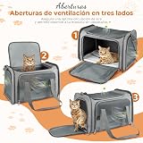 Ver la foto 5