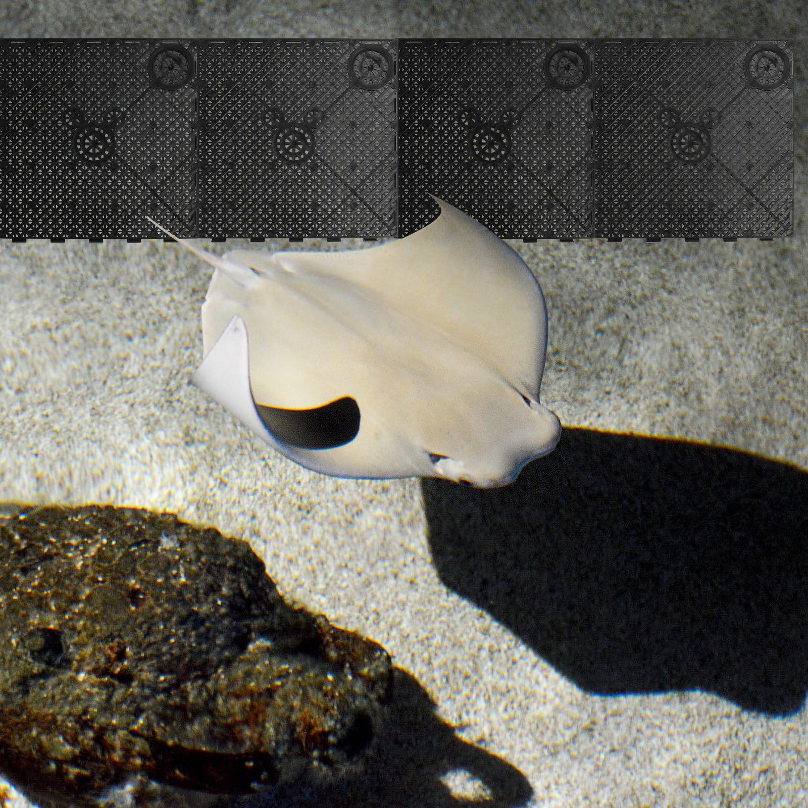 20 Stück PVC Bodenfilterplatte für Aquarien mit Steckverbindung und Splicing Kombination Schwarze Filterplatte für Fischbecken und Zucht von Meeresfischen
