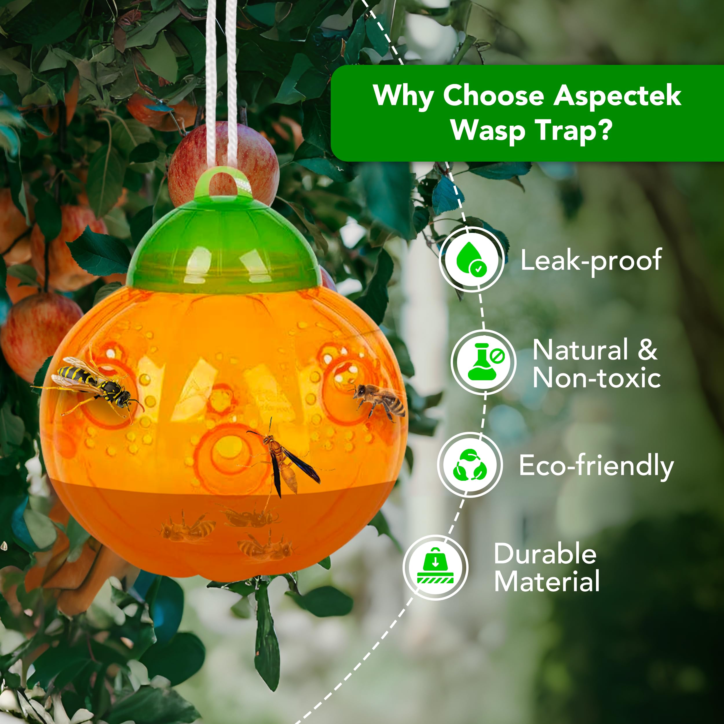 WASPA セット Amazon.com : ASPECTEK Wasp Trap Pumpkin Design - Pack of 2