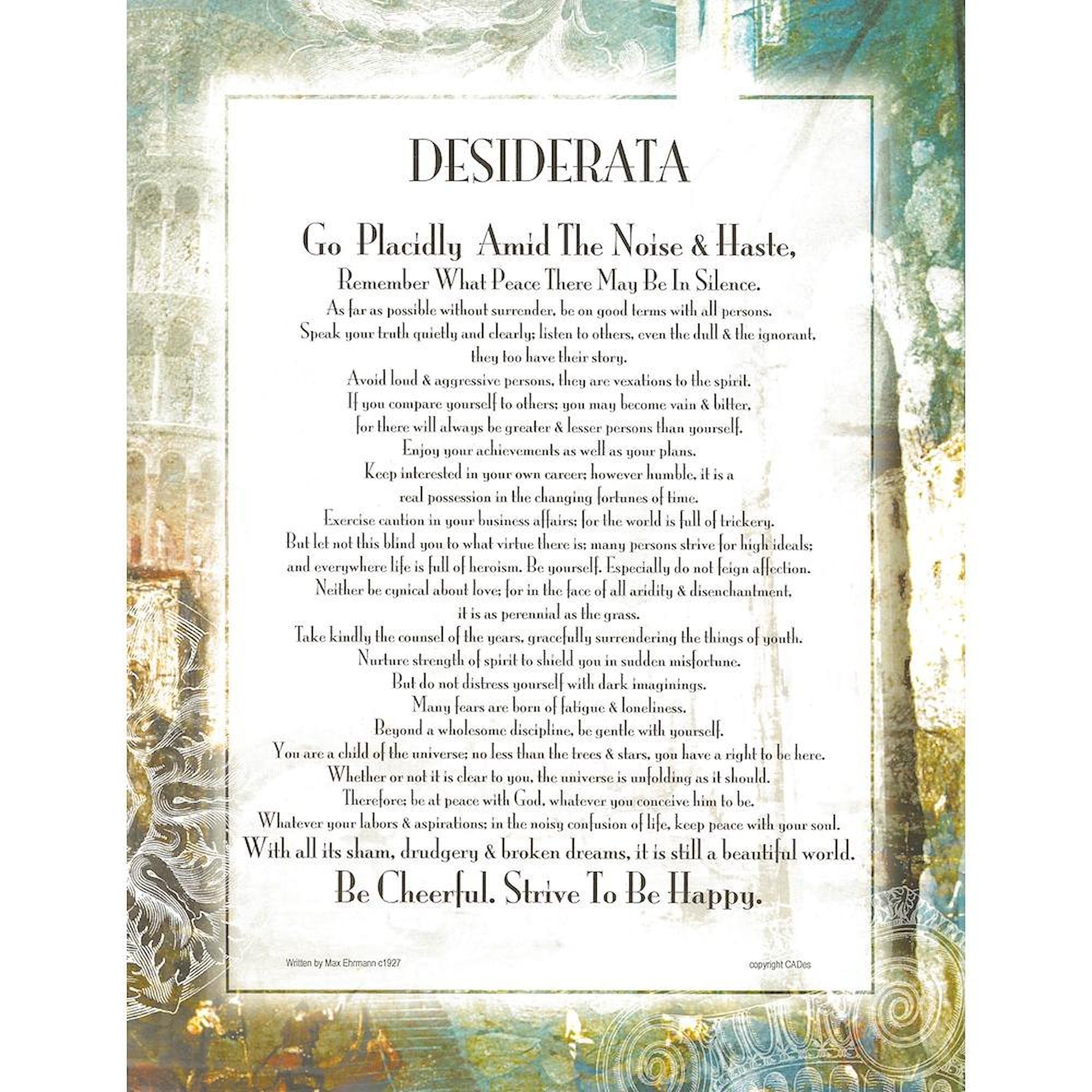 CafePress Desiderata La Piazza Twin Duvet Cover, Printed Comforter Cover, Unique Bedding,