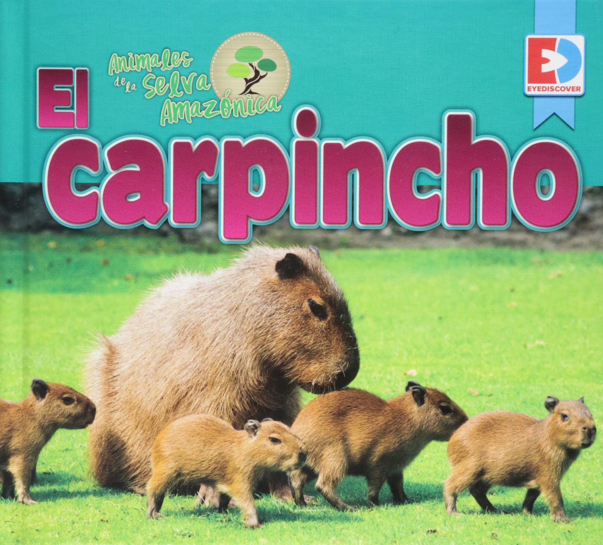 Animales de la Selva Amazónica -- El Carpincho
