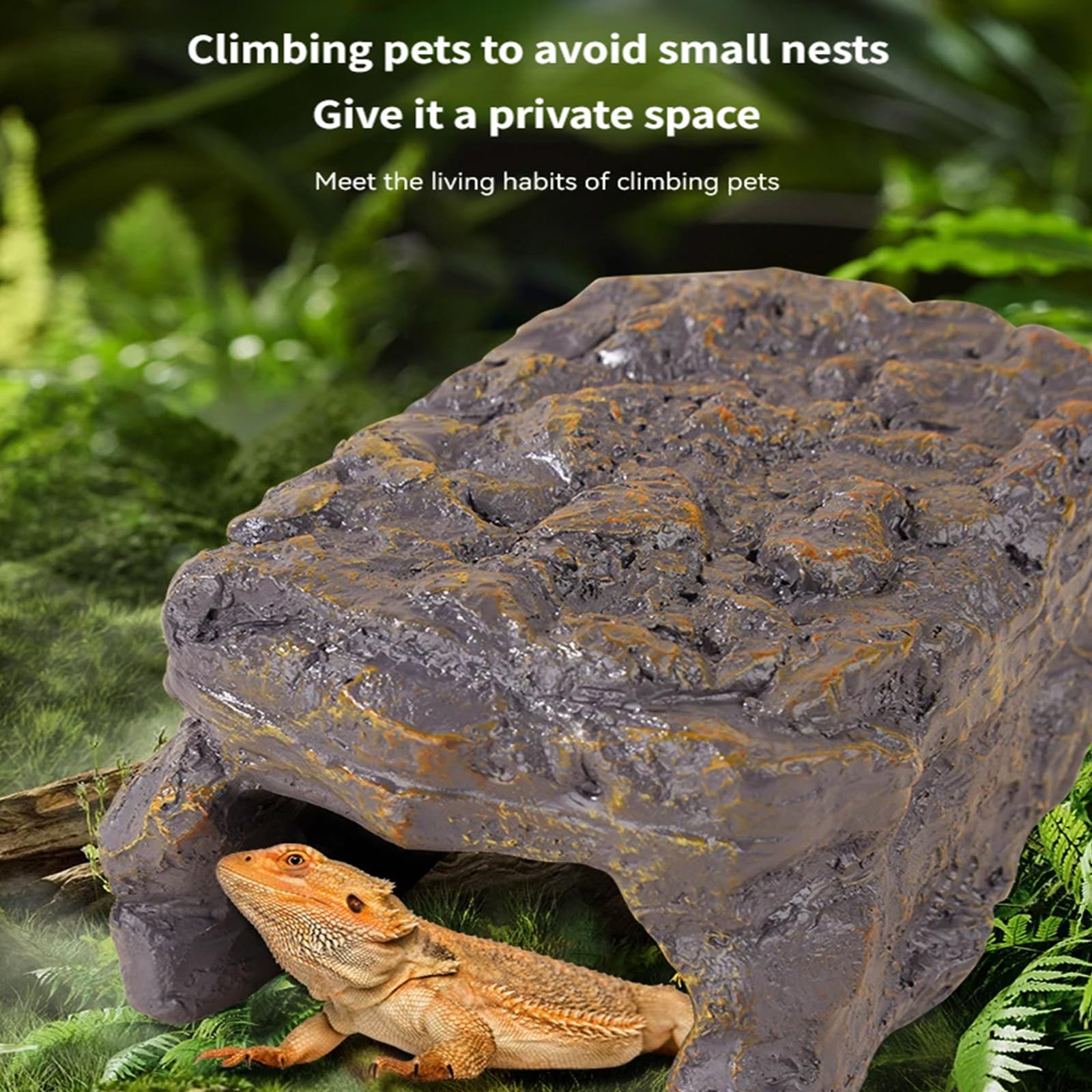 Perchoir pour cage à oiseaux avec capacité de chauffage pour plus de confort - Station chauffante pour oiseaux ou reptiles - Plateforme antidérapante