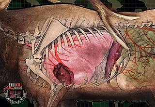 Elk Target 2-Sided Paper Range Targets (3pack) 27" x 39" for Archery & Rifle Hunters