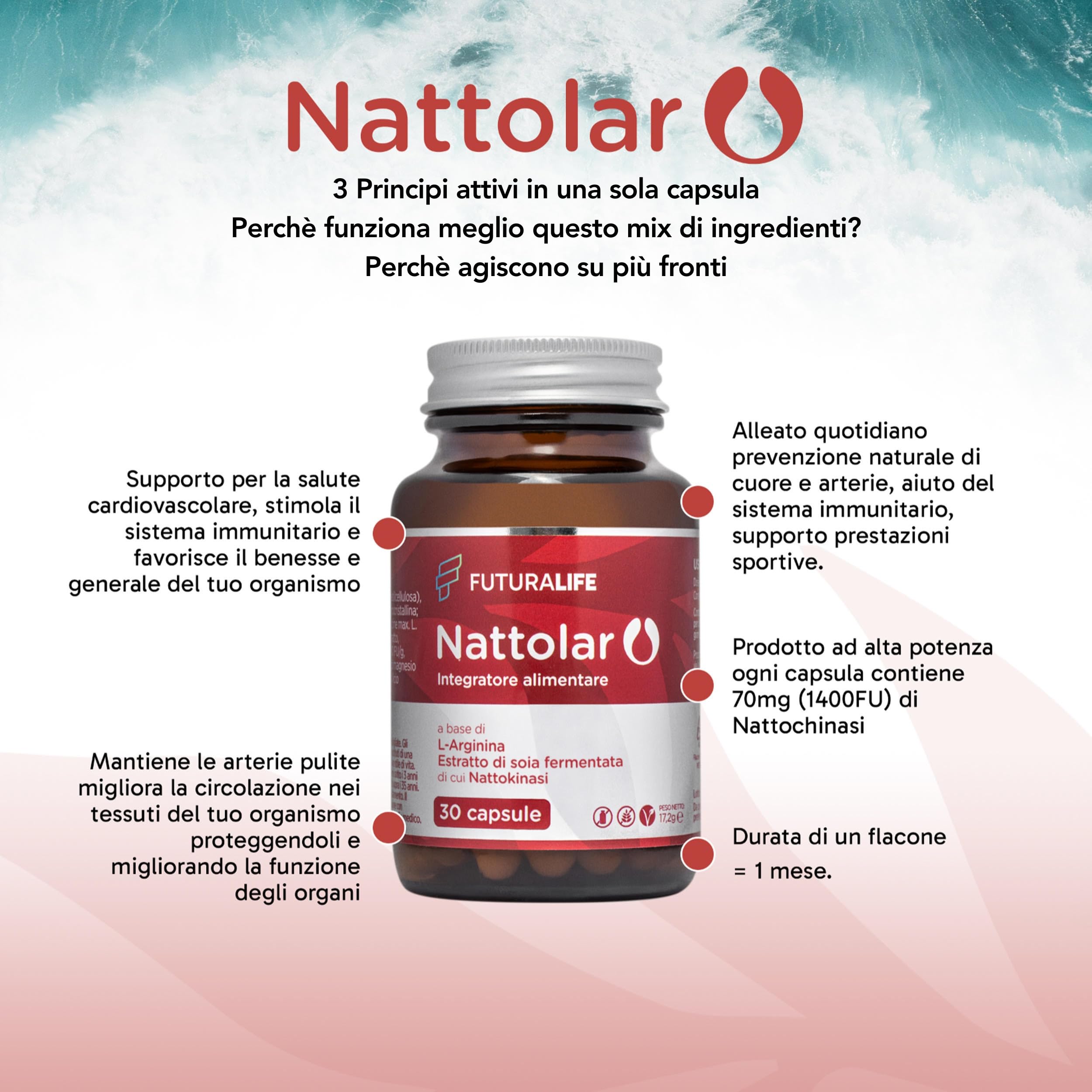 NATTOLAR Arginina e L-Citrullina = Recupero Muscolare + Vitalità di Coppia | Post Allenamento, Resistenza - Nattokinase | Supporto Circolazione, Arterie Sane e Pulite | Integratore per Sportivi. 30cps