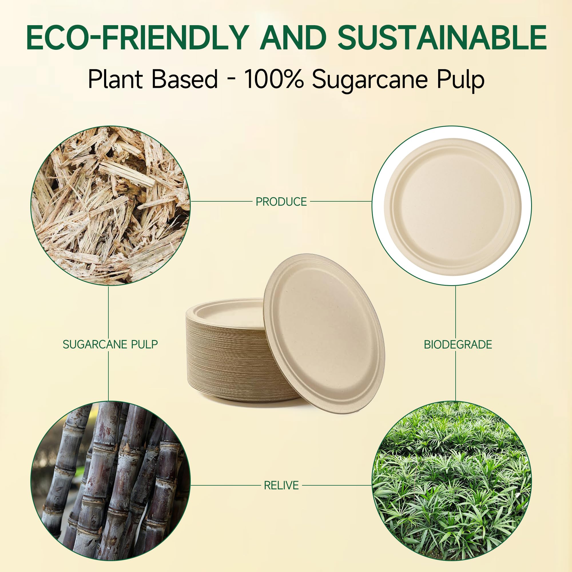 100 Paper Plates - Eco-Friendly & Durable -2
