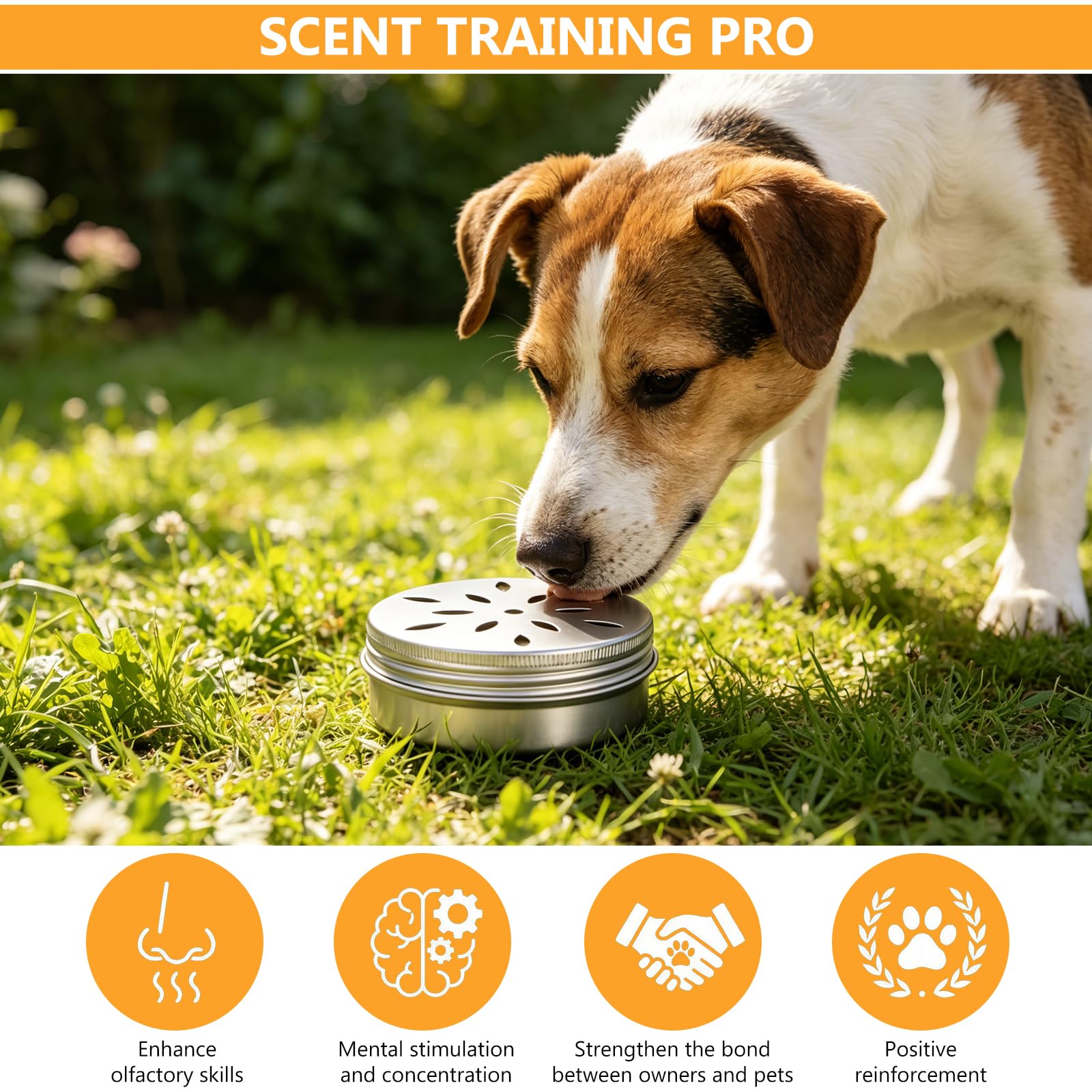12 Pcs Récipients à Odeur de 60 ML pour Chiens de Détection, Boîte d'Entraînement Olfactif pour Chiens, Boite a Odeur Chien, Accessoires de Dressage et de Sport Canin