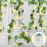 Ghirlanda Luminosa Edera Con Luci LED - 5 Metri, 50 Luci, Telecomando - Foto 4