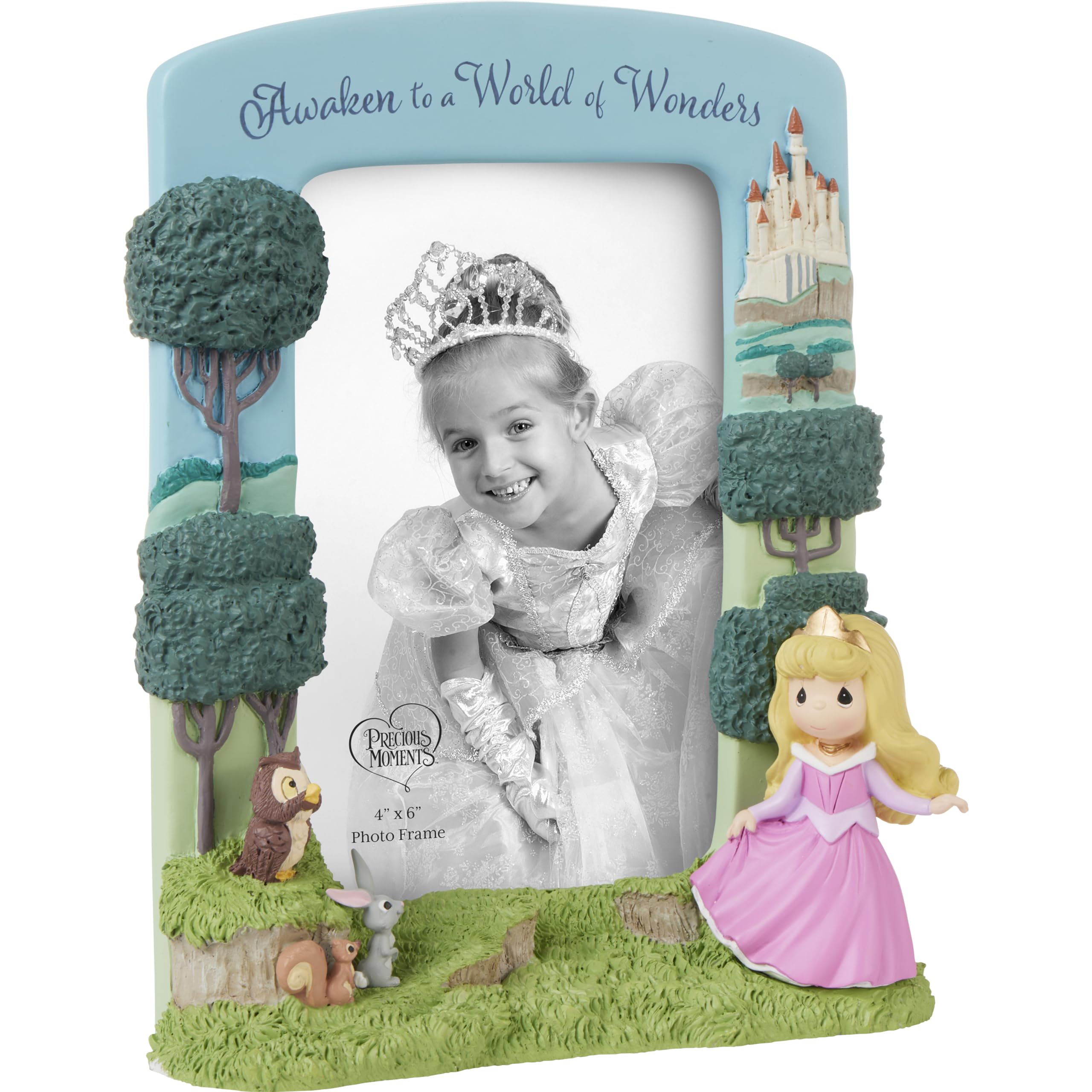 Amazon.co.jp: Precious Moments ディズニープリンセス オーロラフォト