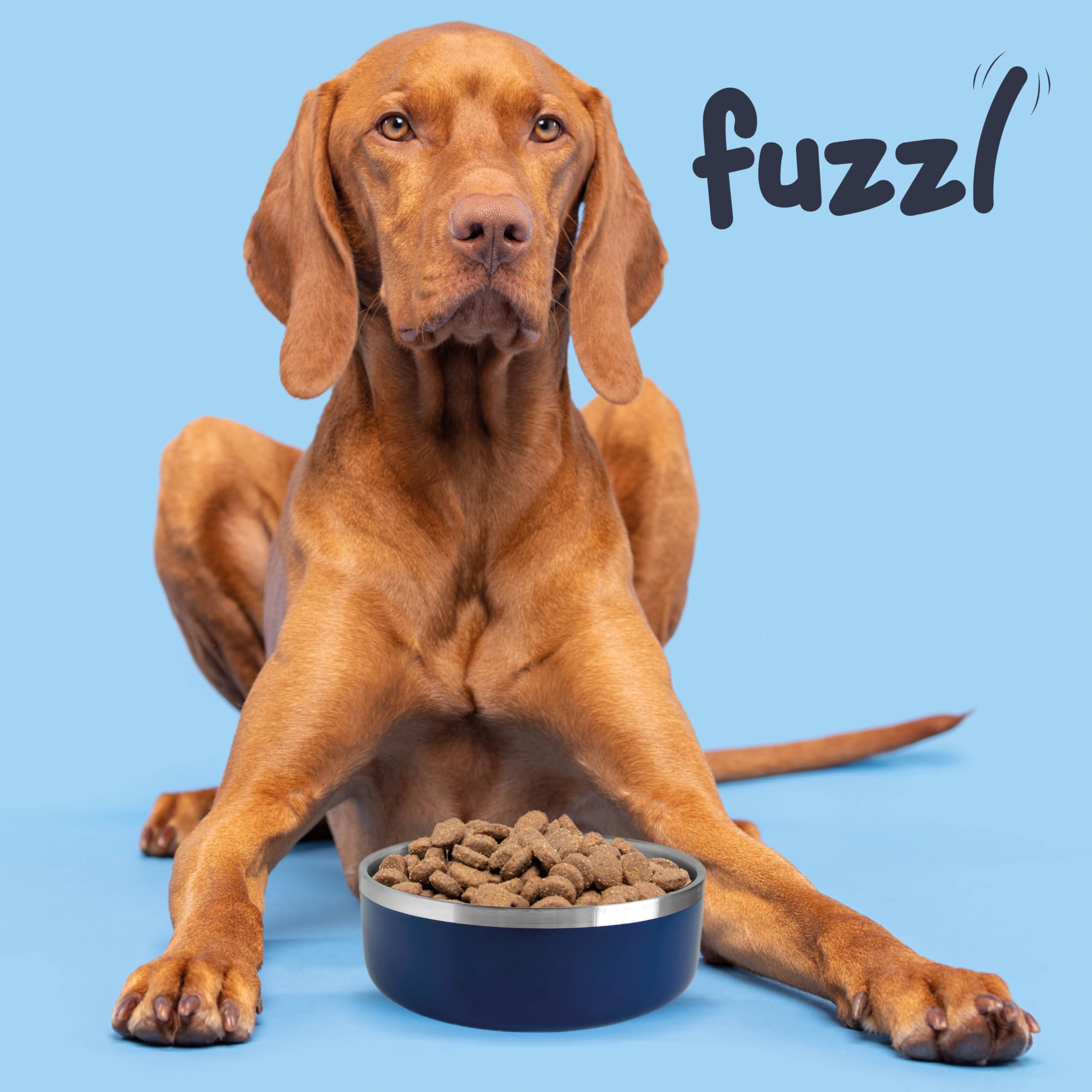 Fuzzl Double Insultated Thermal Dog Bowl in Navy - 16cm - for Indoors and Outdoors with Rubber Base - Versatile Dog Bowls and Dog Water Bowl for Hydration and Feeding - Image 3