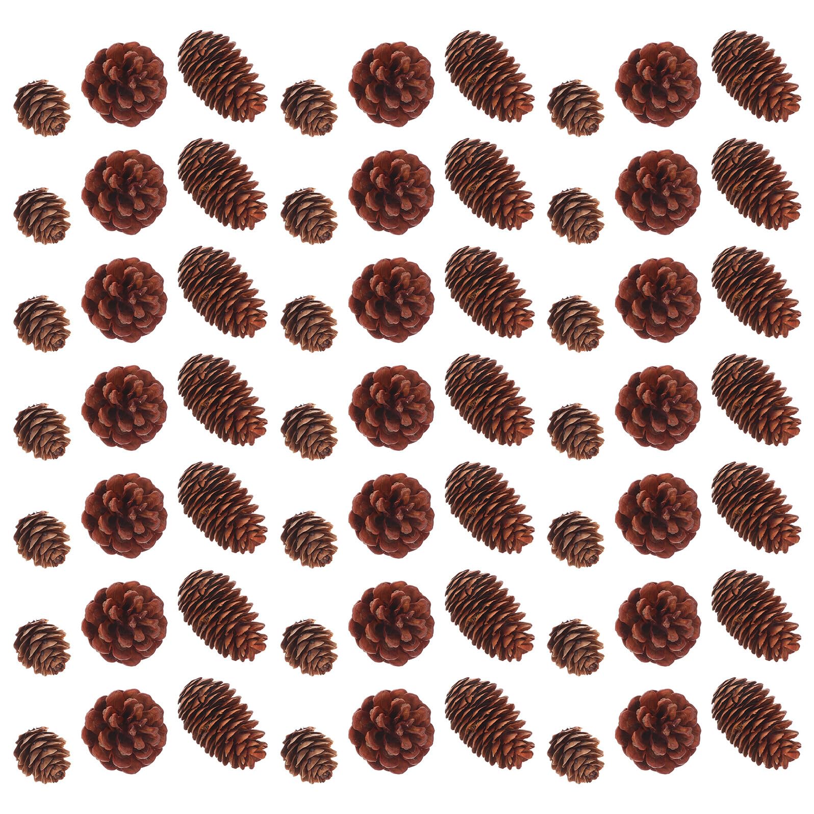 Alipis 120 Piezas Piñas Naturales para Decoración Rústica Mini Conos de Pino para Manualidades Adornos Navideños y Bodas Versátil y Compacto para Proyectos Detallados