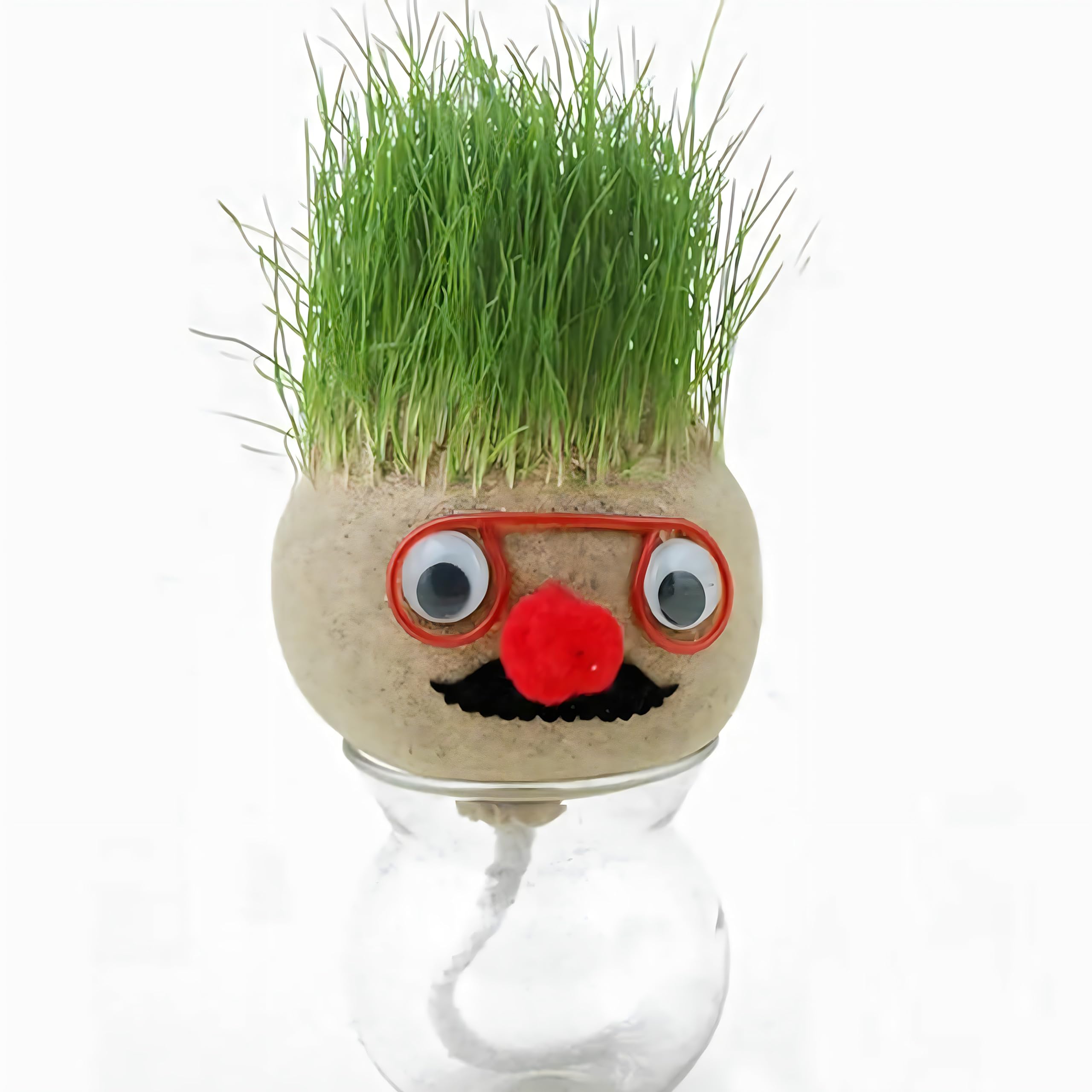 Mini Growing Grass, Education Toys, Grass Head Dolls Children Kids Craft DIY Gifts