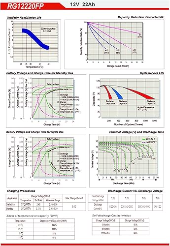 Miniatura 4 de Raion Power Batería AGM de repuesto de 12V 22Ah para Clore Automotive JNC660 Jump N Carry Jump Starter - 1 paquete