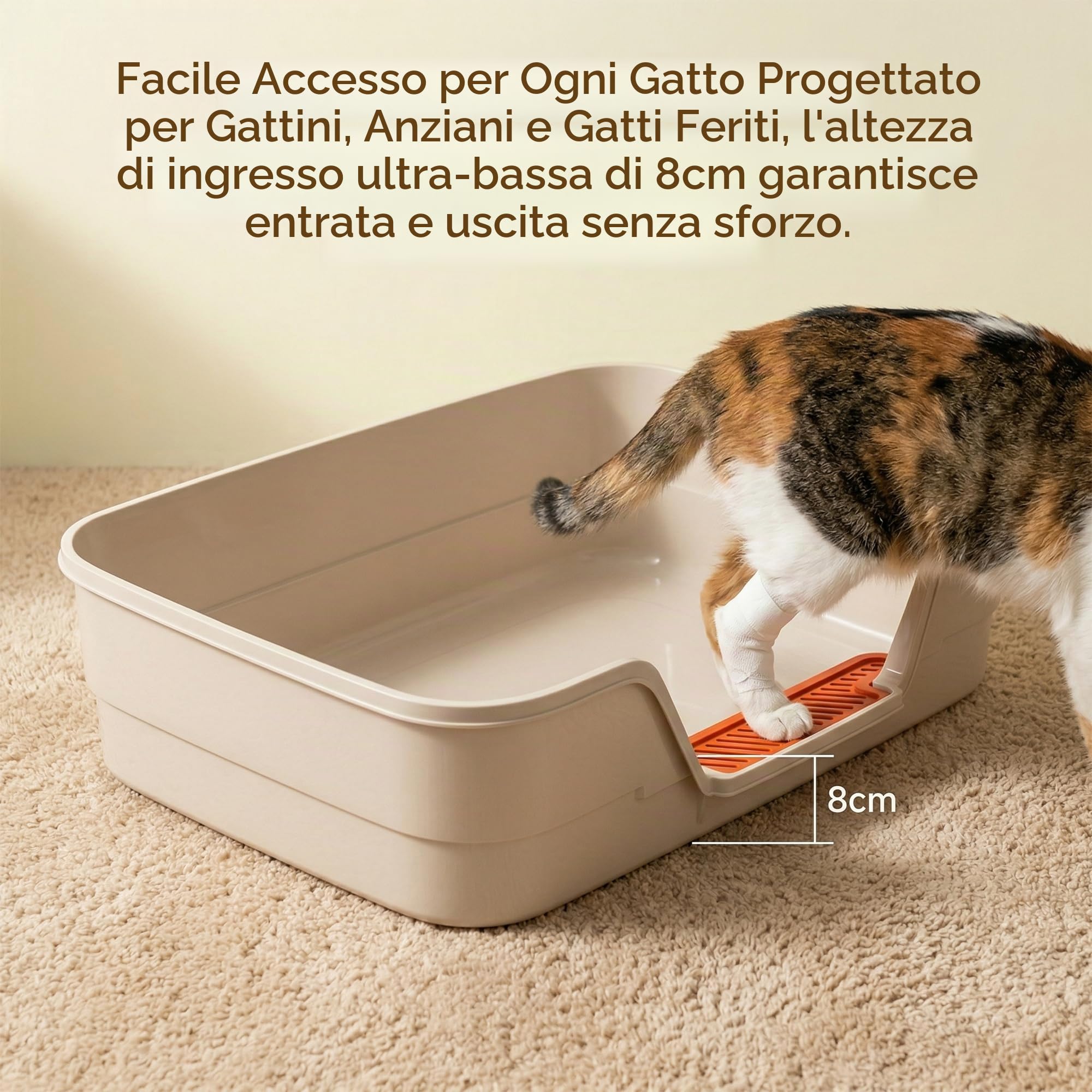 Suhaco Lettiera a basso ingresso per gattini grandi lettiere per gatti anziani, piccola lettiera in plastica per gatti piccoli, con sgabello, facile da pulire, 61 cm di lunghezza x 40,6 cm di