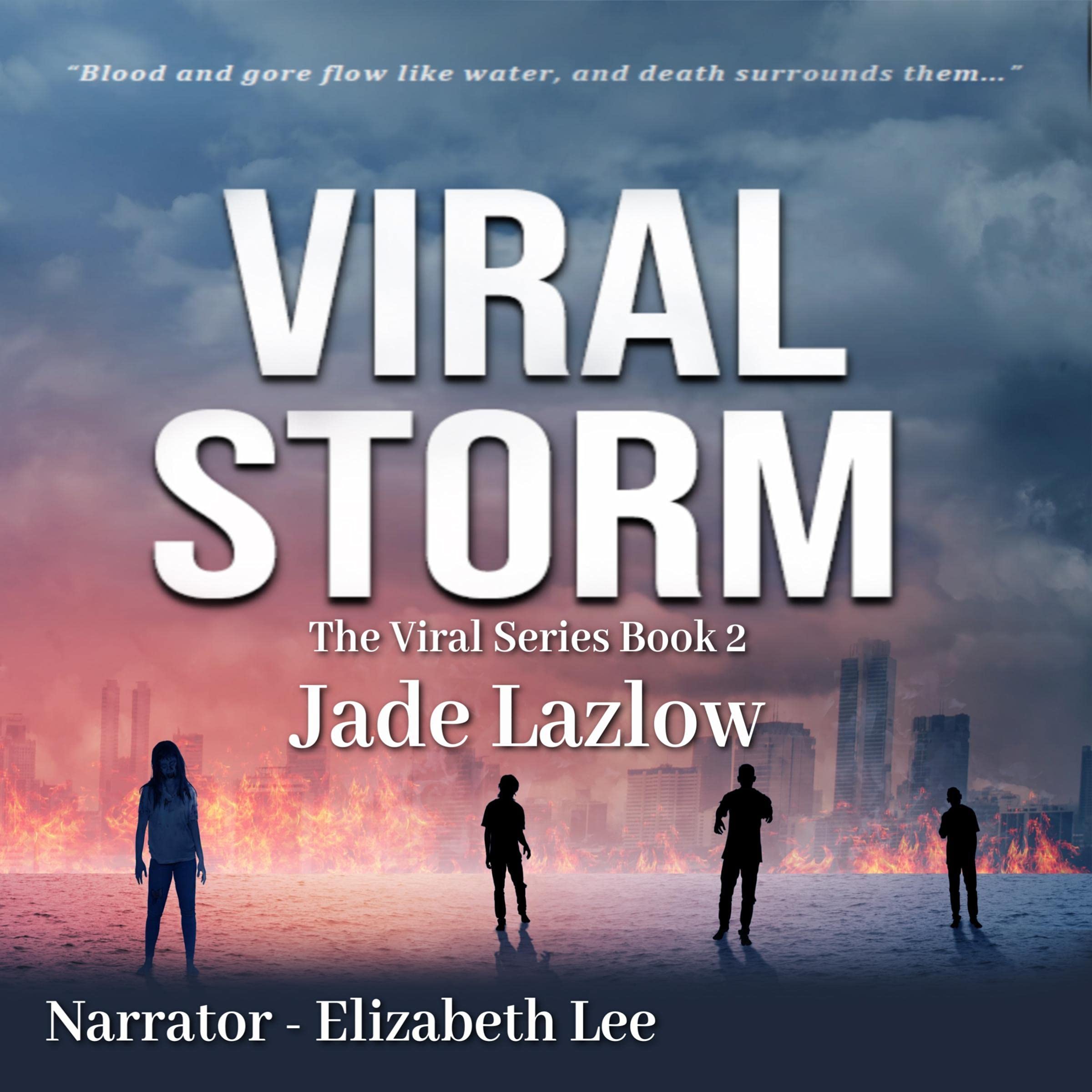 Cover art for Viral Storm