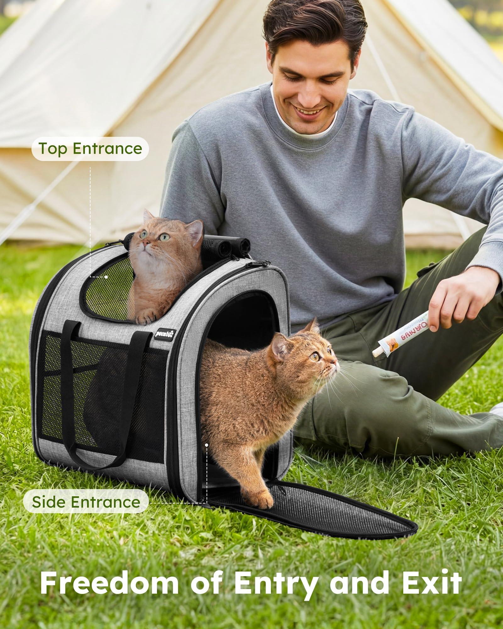 pecute Mochila transportadora para Gatos con diseño ventilado, Mochila Plegable para Mascotas para Gatos y Perros, Mochila para Perros con Correa de Seguridad