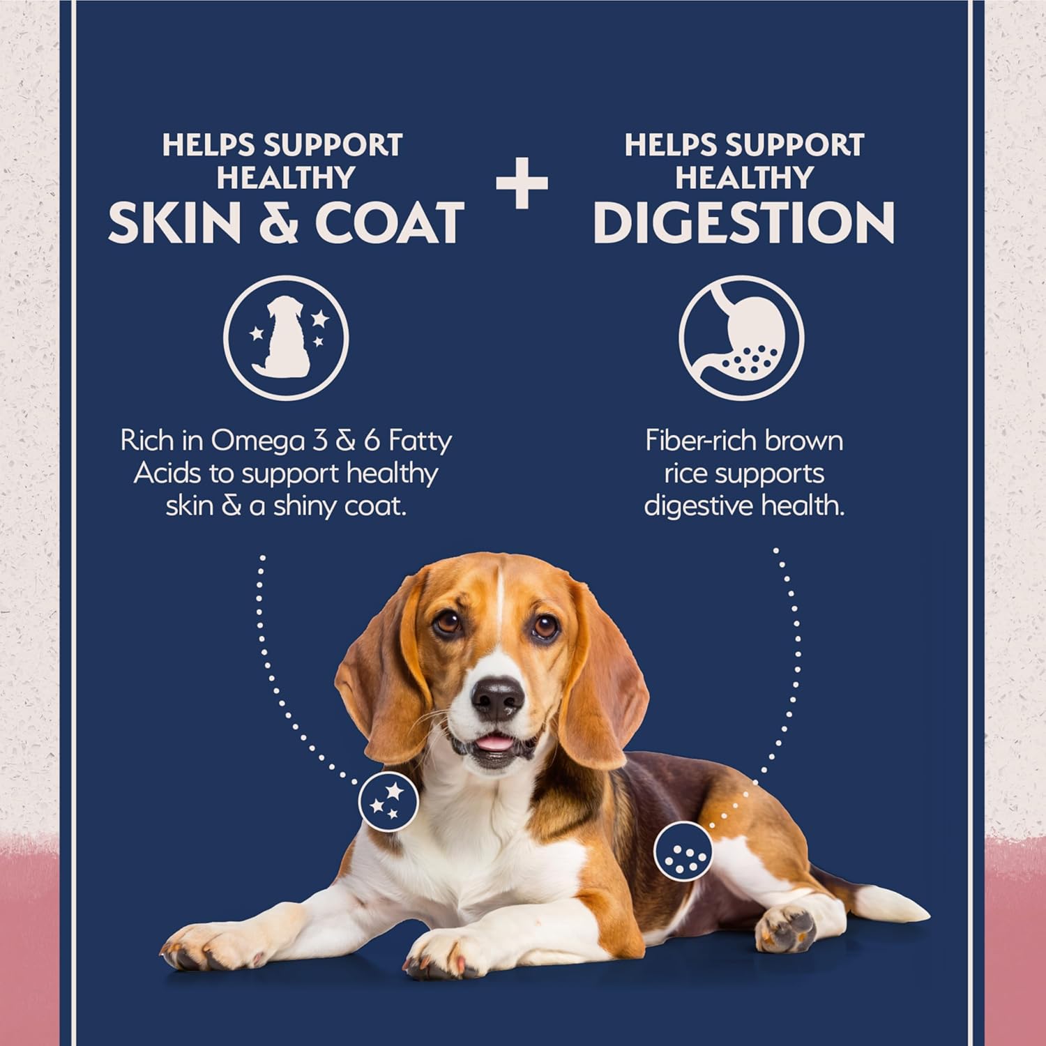 Natural Balance Limited Ingredient Adult Dry Dog Food with Healthy Grains, Salmon & Brown Rice Recipe, 24 Pound (Pack of 1) - Image 3