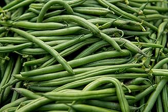 French Bean Climbing 'Blue Lake' by Country Value Vegetable Seeds