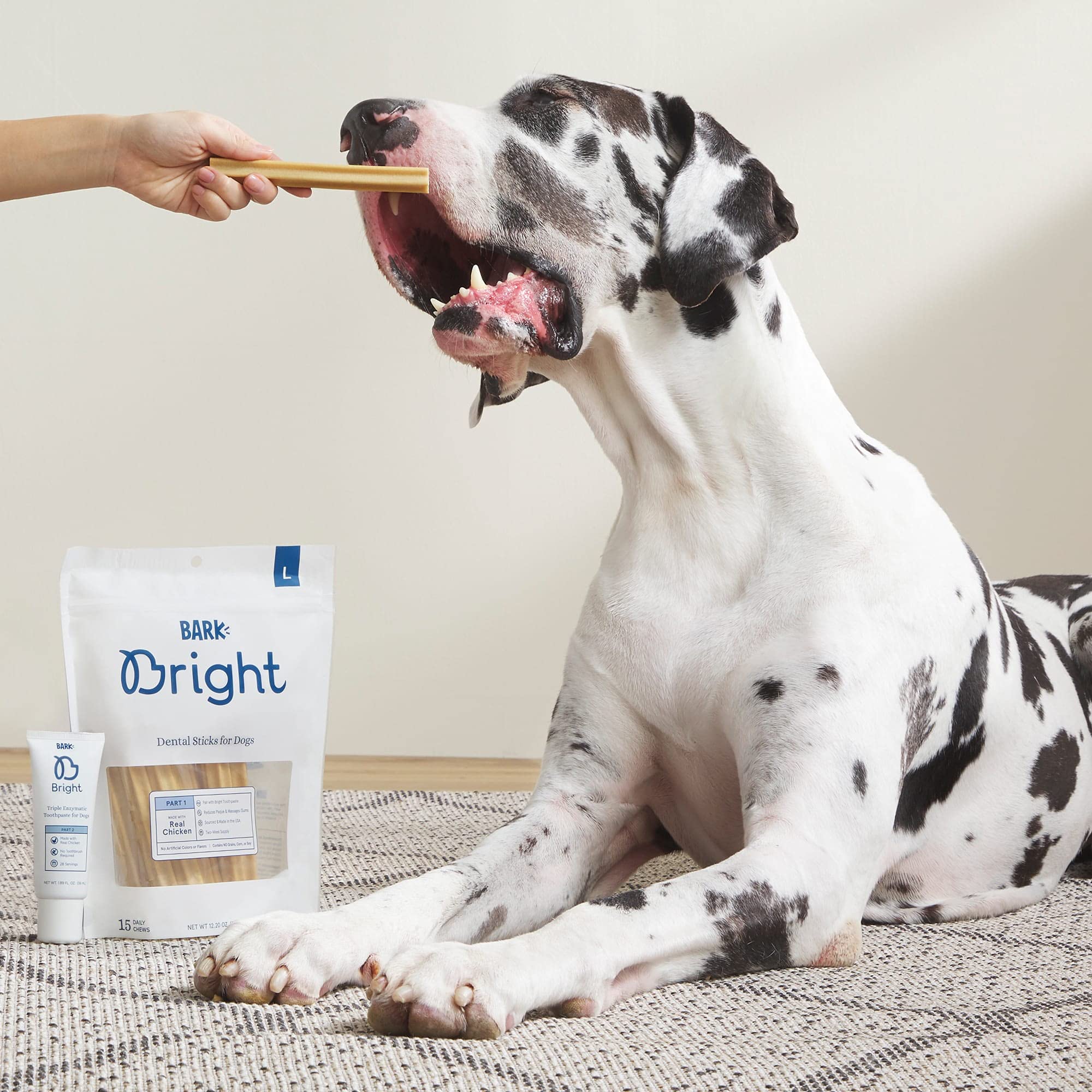 Why Is My Dog Eating Sticks And Bark