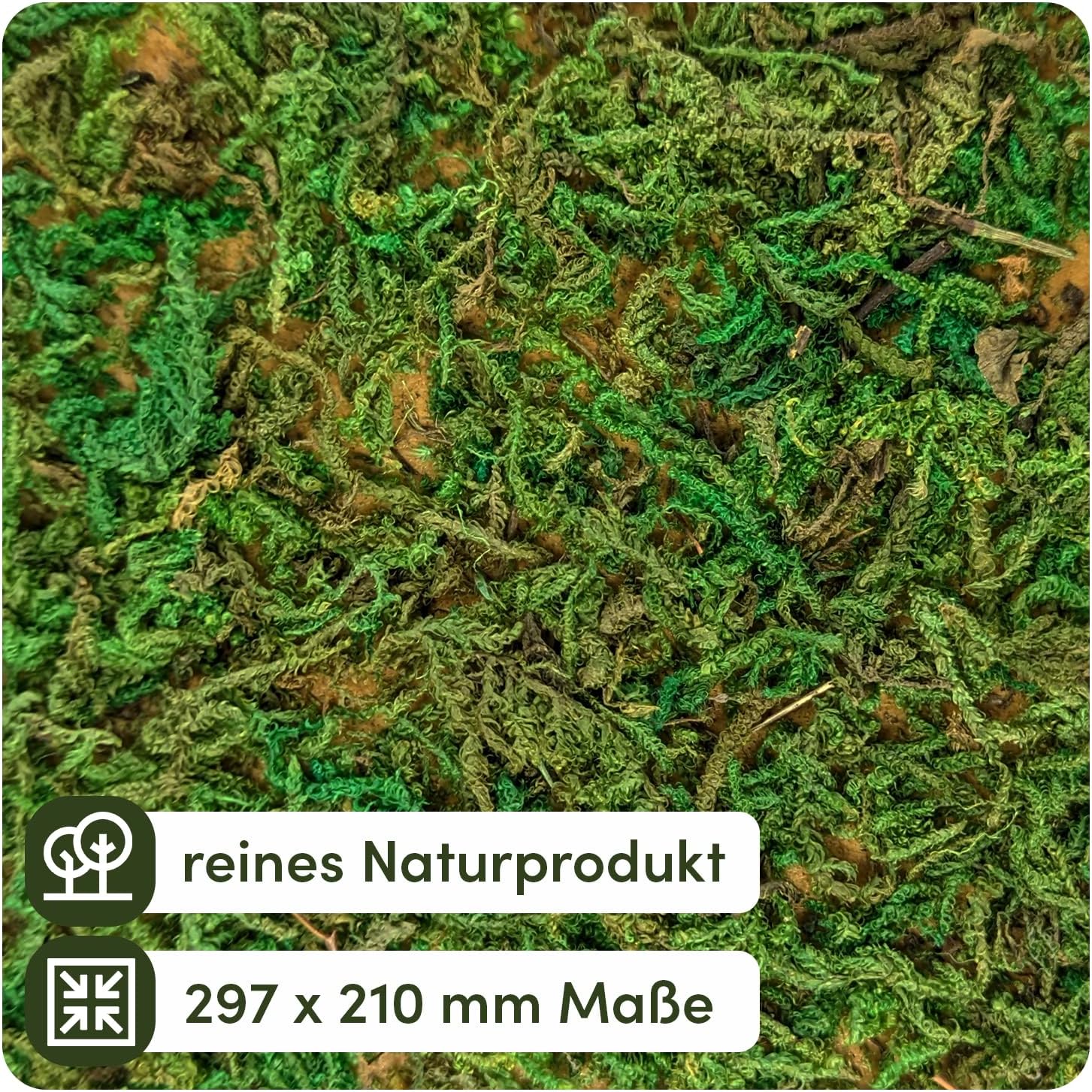 Mahovina ploča detaljna tekstura i kvaliteta