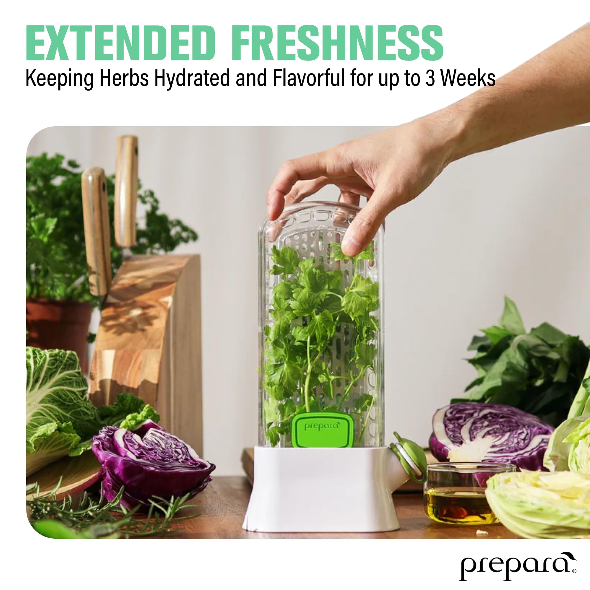 Herb Savor Pod, Herb Keeper, 9,8 inch Kruidenopslagcontainer houdt Groenten vers Herb Saver Asperges Keeper Praktisch keukengerei voor koriander, munt, peterselie, kruiden saver pod kruidenbespaa Herb Savor Pod, Herb Keeper, 9,8 inch Kruidenopslagcontainer houdt Groenten vers Herb Saver Asperges Keeper Praktisch keukengerei voor koriander, munt, peterselie, kruiden saver pod kruidenbespaa