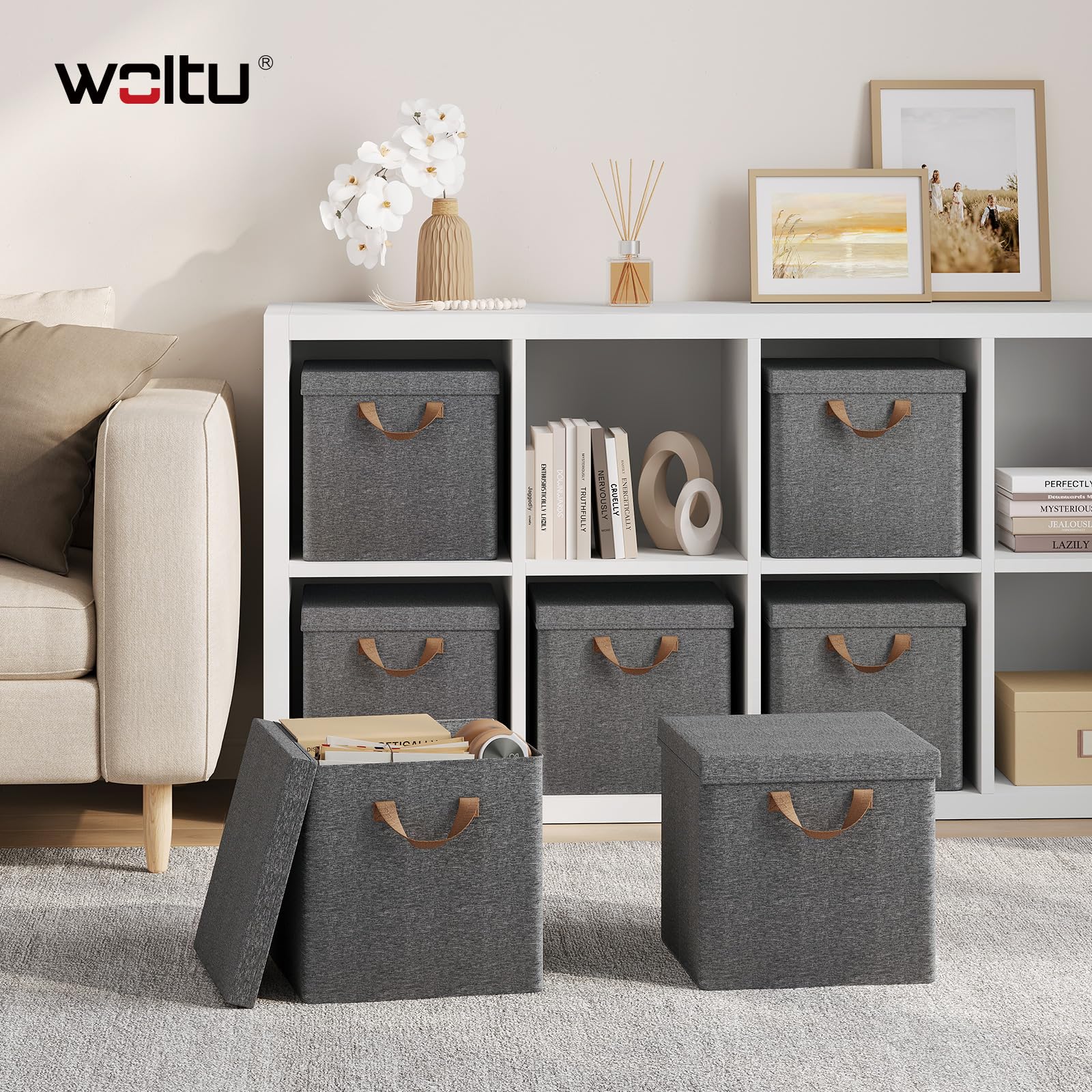WOLTU Scatole Contenitori Pieghevoli Set di 5, Cubi in Tessuto con Coperchio, Manico e Struttura in Metallo, Organizer per Scaffale e Armadio, Grigio, 30x30x29cm