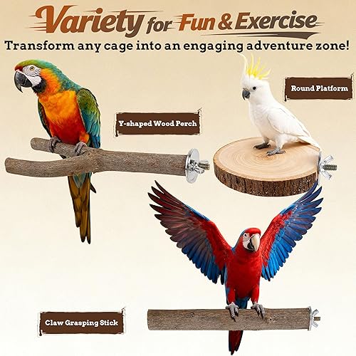 6 PCS Bird Perch Set, Natural Birch Wood Straight & — side view showing full product dimensions