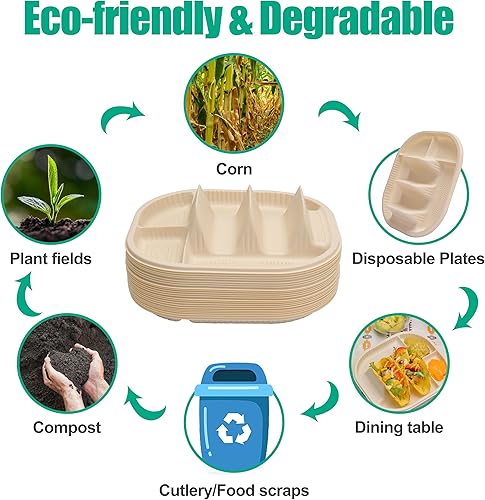 Miniatura 3 de 50 mini platos desechables para taco, platos biodegradables para tacos con 2 divisores, platos de soporte para tacos de fiesta para tacos de concha