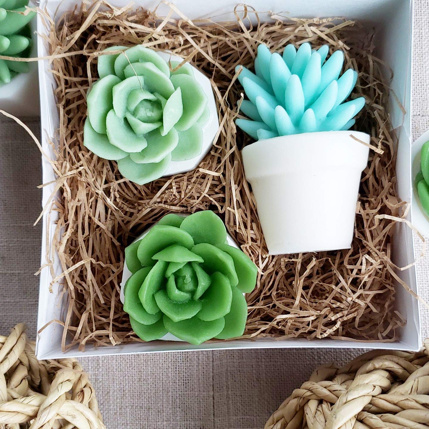 Let Love Grow Succulent Soap Gift Set. Unique Gift Idea for Bridal Shower, Engagement, or Wedding