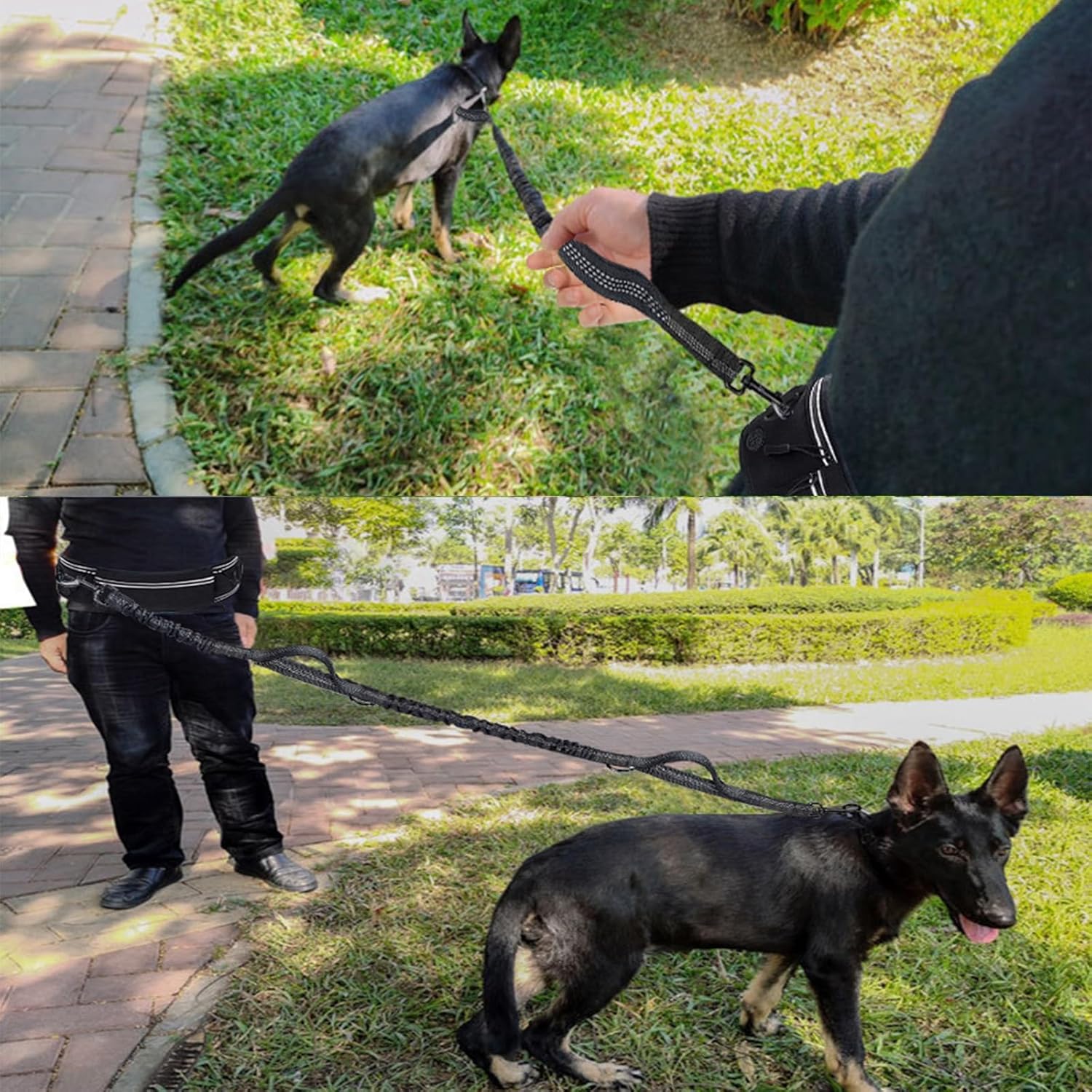 Hands-Free Dog Leash with Zippered Storage Bag, Retractable Sports Waist Pack, Shock-Absorbing Elastic Cord, for Walking Running, Ideal for Medium and Large Dogs(Black)