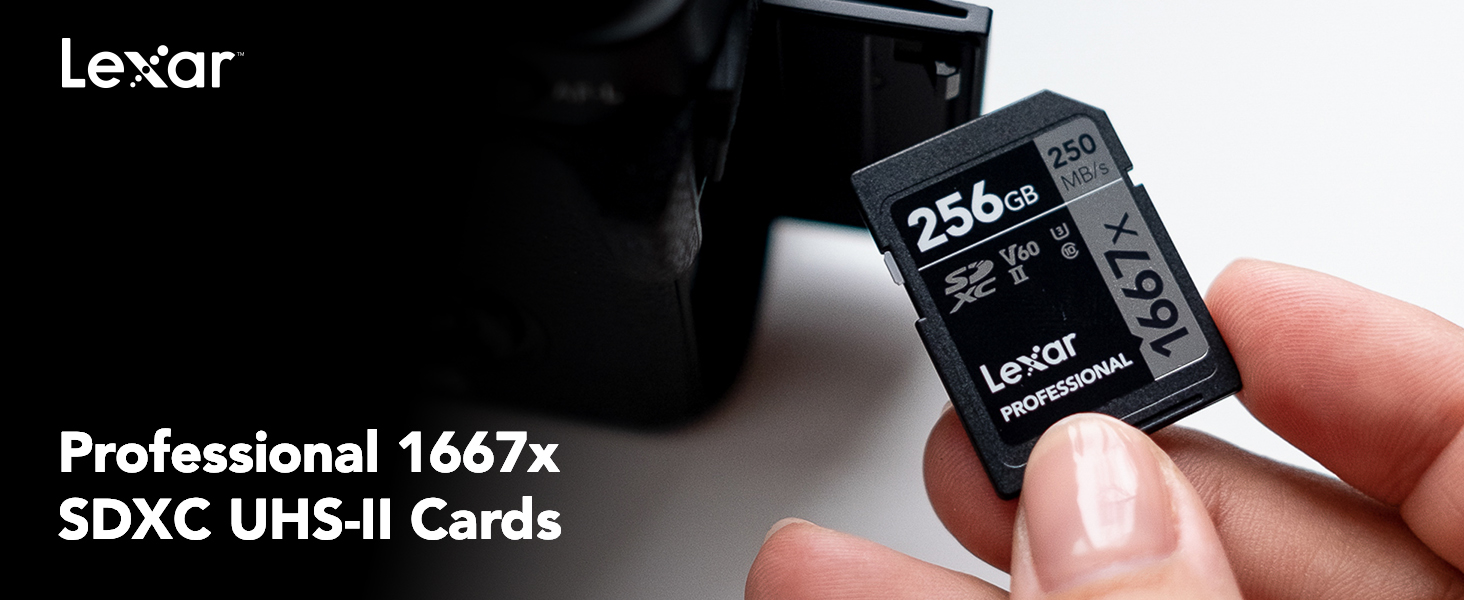 Amazon.com: Lexar 256GB Professional 1667x SD Card, UHS-II, C10 