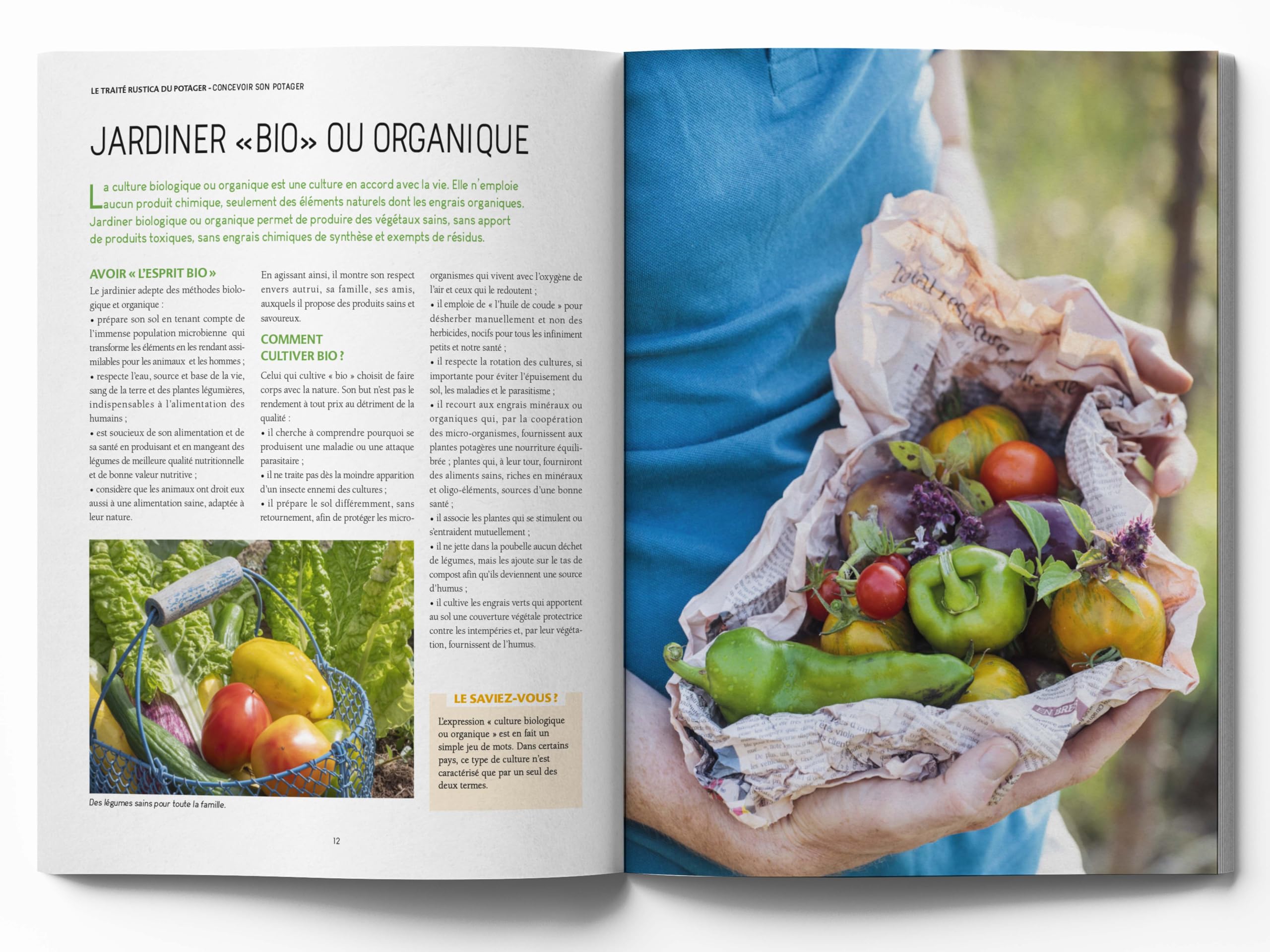 Le traité Rustica du potager