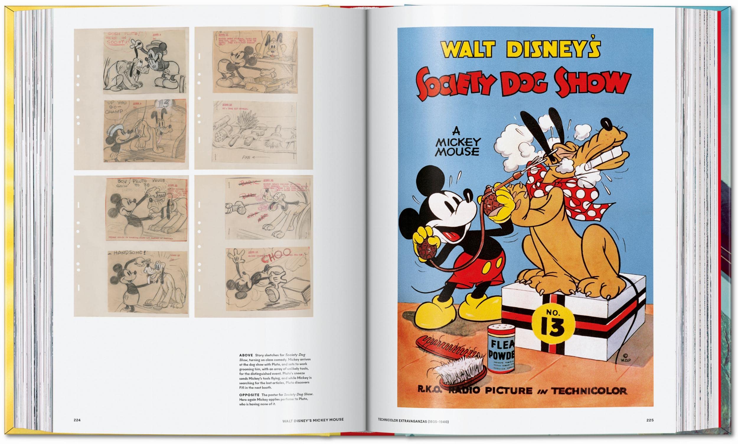 Walt Disney's Mickey Mouse: The Ultimate History